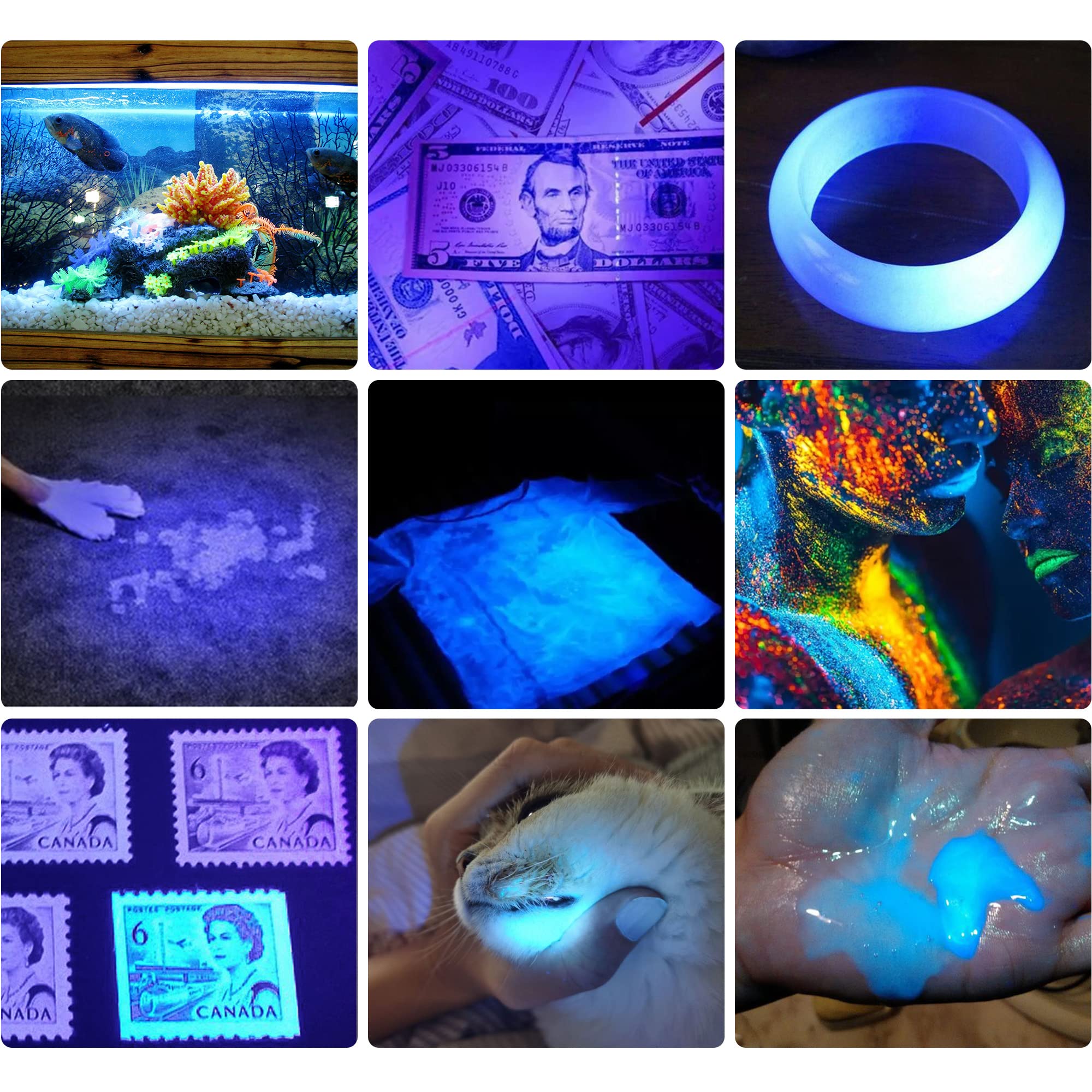 DARKBEAM UV 365nm Flashlight USB Magnet Rechargeable Woods Lamp LED Ultraviolet Blacklight, Detector for Pet Ringworm Cat Urine