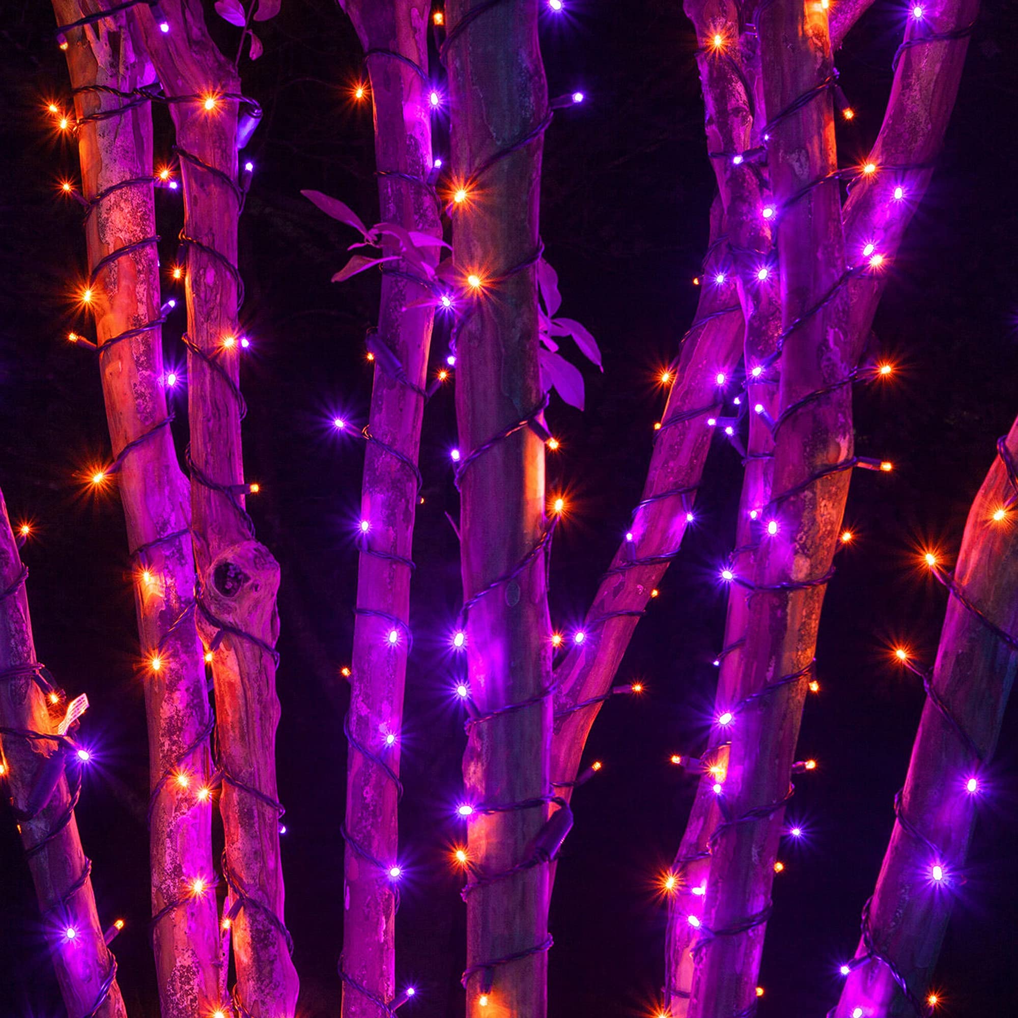 Dazzle Bright 200 Led Halloween Solar String Lights, 66 Ft, Waterproof, Purple & Orange, 8 Modes