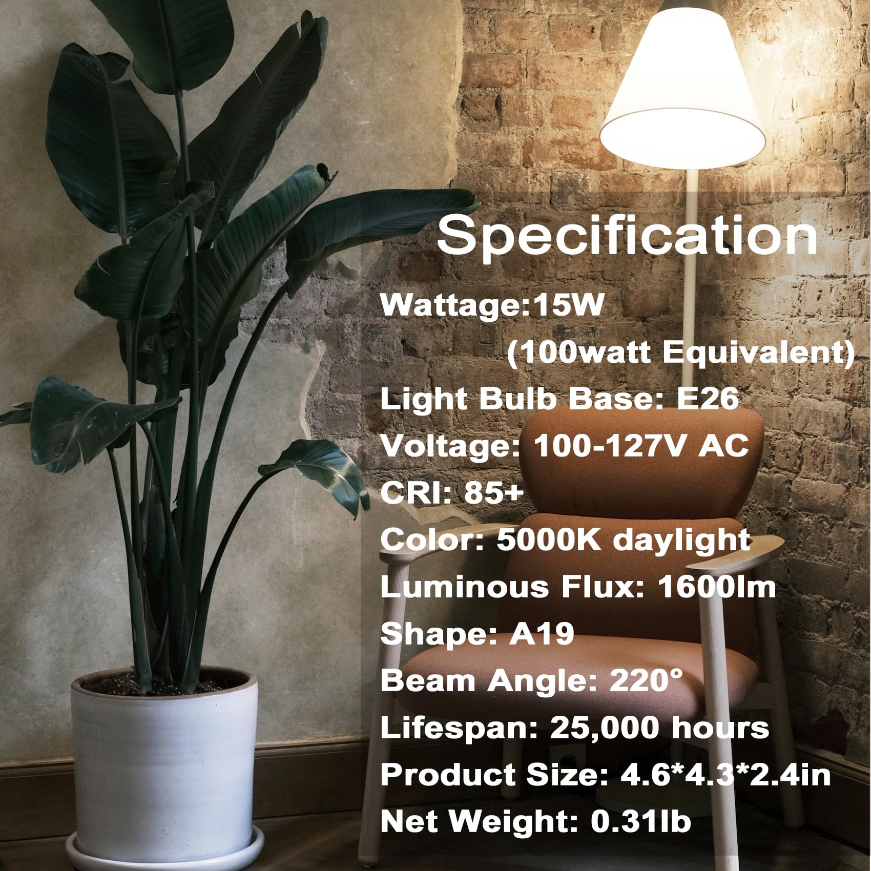 CICINY LED Light Bulbs 100W Equivalent A19, Daylight 5000K, 15W, E26 Base, 2-Pack, White, Model GL184