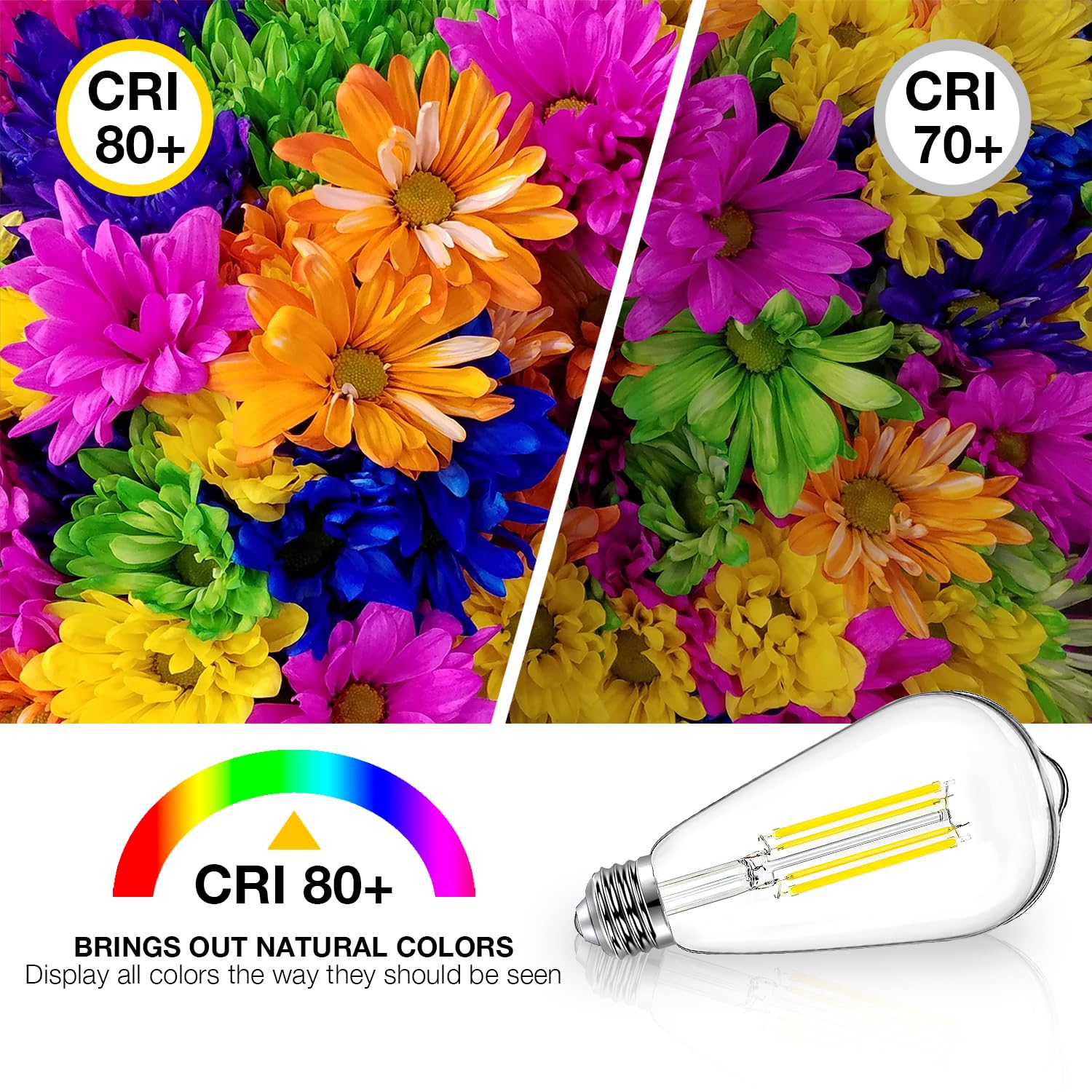 Daybetter 10 Pack Led Lights, Vintage Led Edison Bulbs 60 Watt Equivalent, St58 Antique Led Filament Light Bulbs, E26 Dimmable Led Bulb With Natrue White 5000K, Brightness 8W, 800Lm, Clear Glass