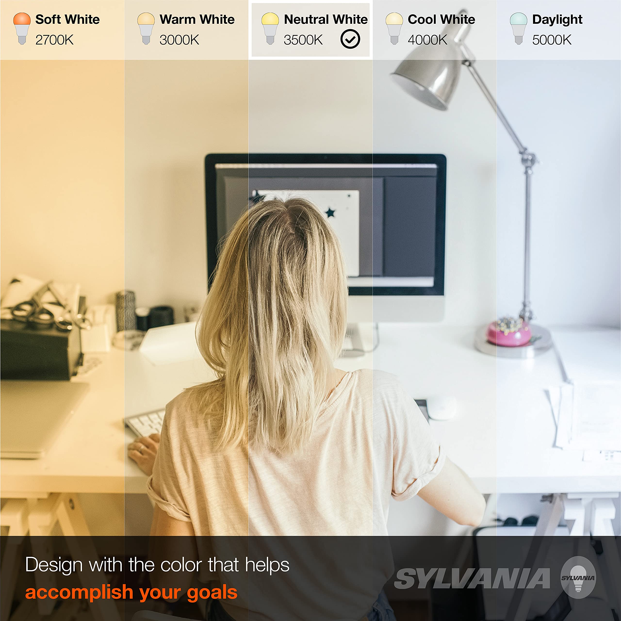 LEDVANCE Sylvania A19 LED Light Bulb, 100W Equivalent, 14W, Frosted, 1500 Lumens, Bright White - 4 Count (Model 78102