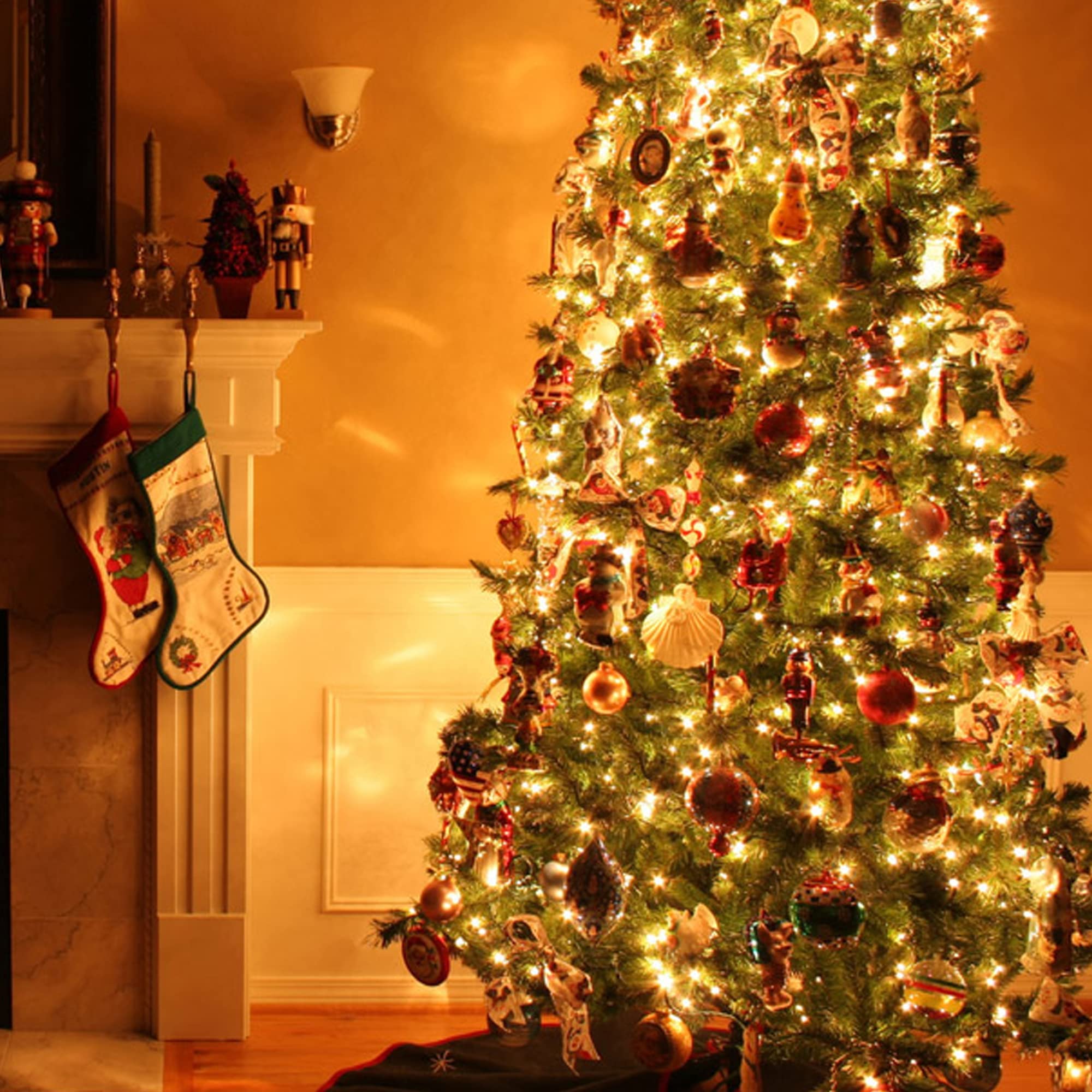 Dazzle Bright Warm White Christmas String Lights, 82Ft 1000 Led Waterproof Green Wire Fairy Lights With 8 Modes, Outdoor Lights