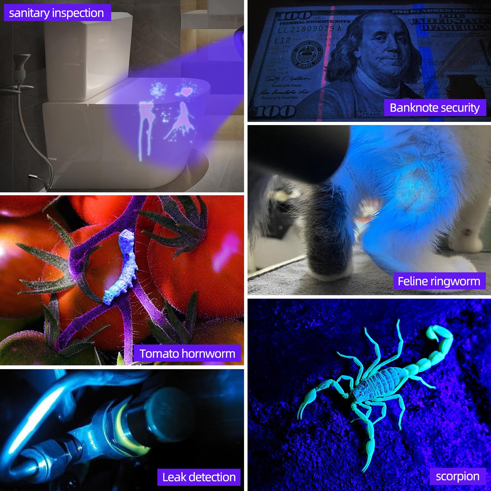 Darkbeam Uv Flashlight 365 Nm Light Blacklight, Mini Powerful Woods Lamp Usb-C Rechargeable, Led 10W Ultraviolet Flashlights Poc