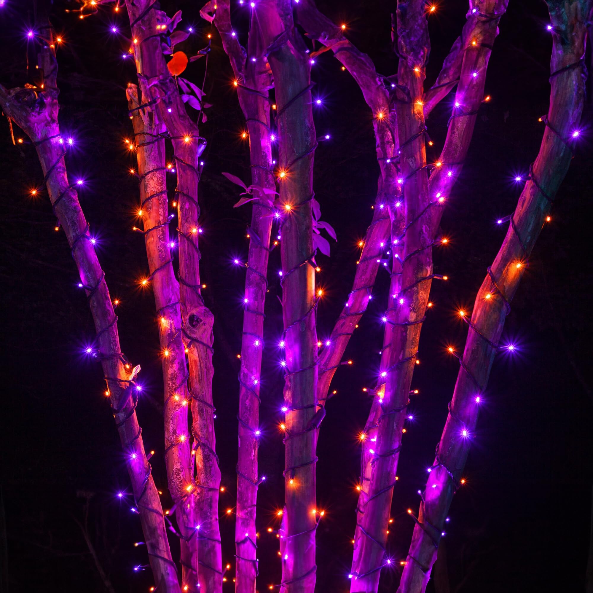 Dazzle Bright 500 LED Halloween String Lights, Waterproof Black Wire, 8 Modes, Purple & Orange, Outdoor Indoor Decor