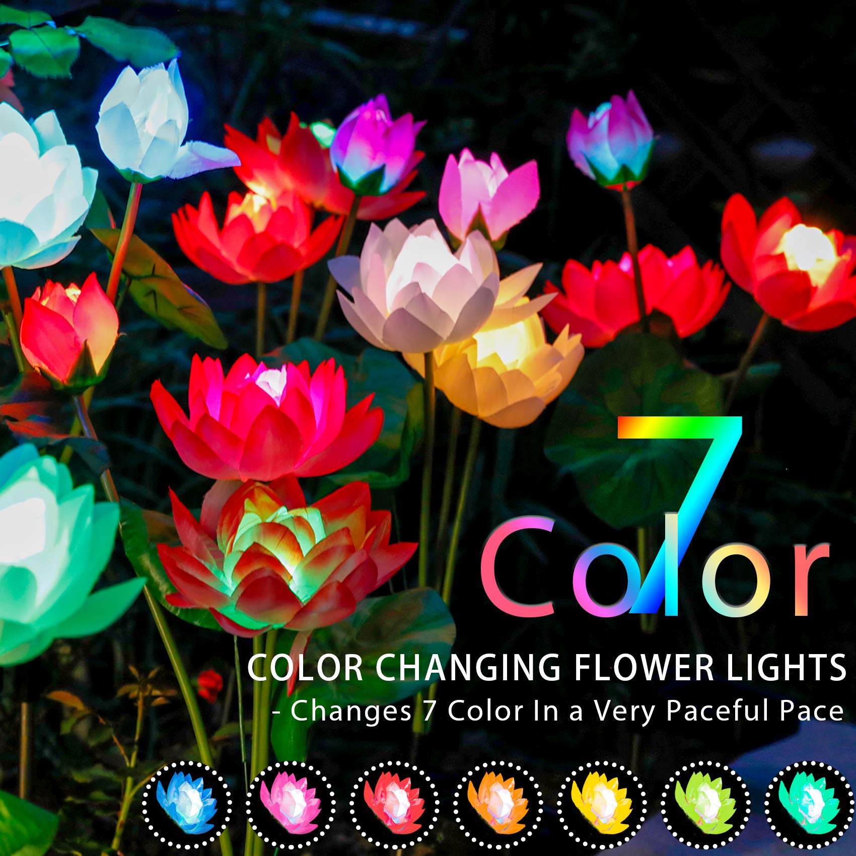 TONULAX Solar Lotus Flower Lights, Multicolor LED, Waterproof, Touch Control, 2-Pack, Plastic Silk