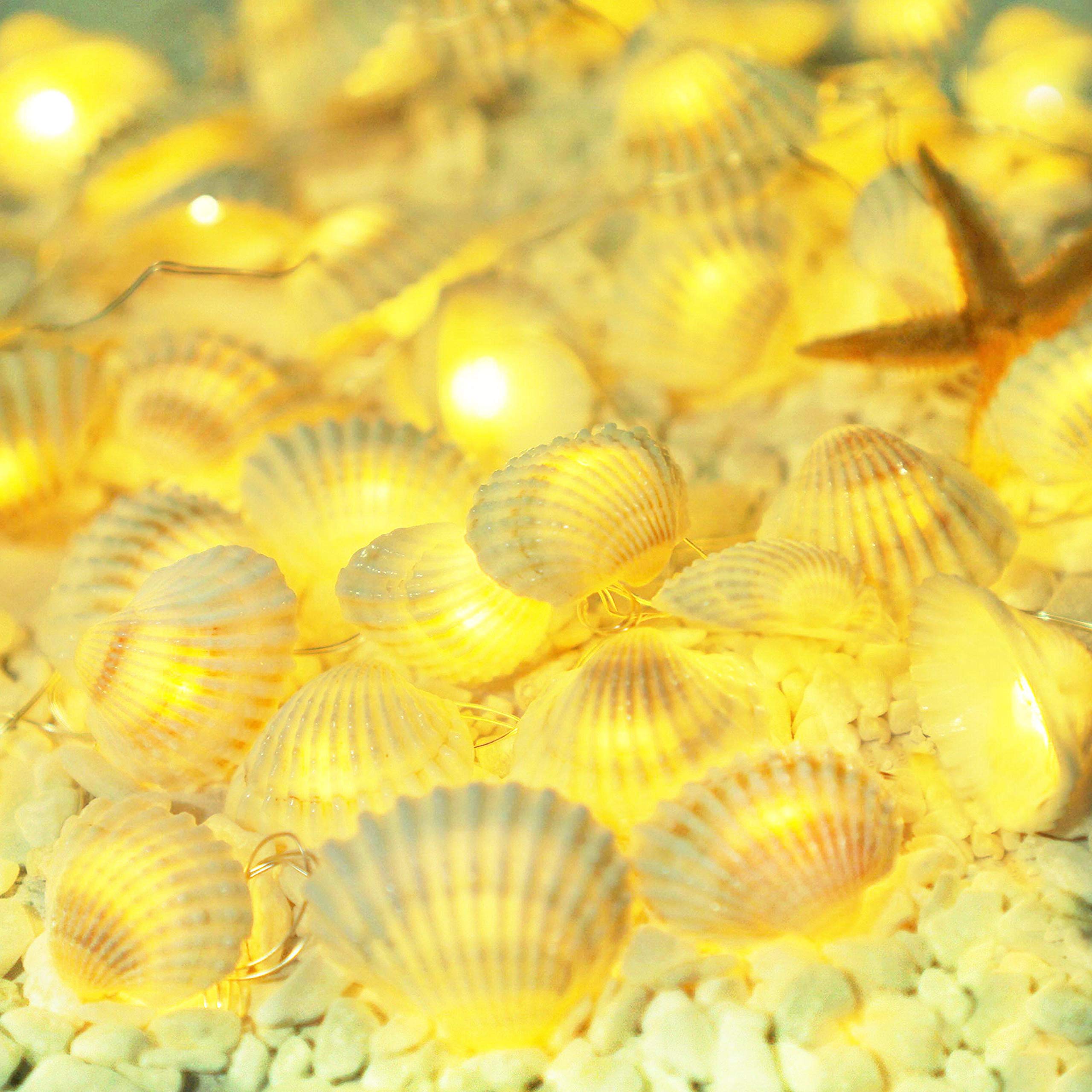 Cynzia 40LED Natural Seashells String Lights, 13.85ft Waterproof Fairy Lights with Remote Control, White, Model C-66