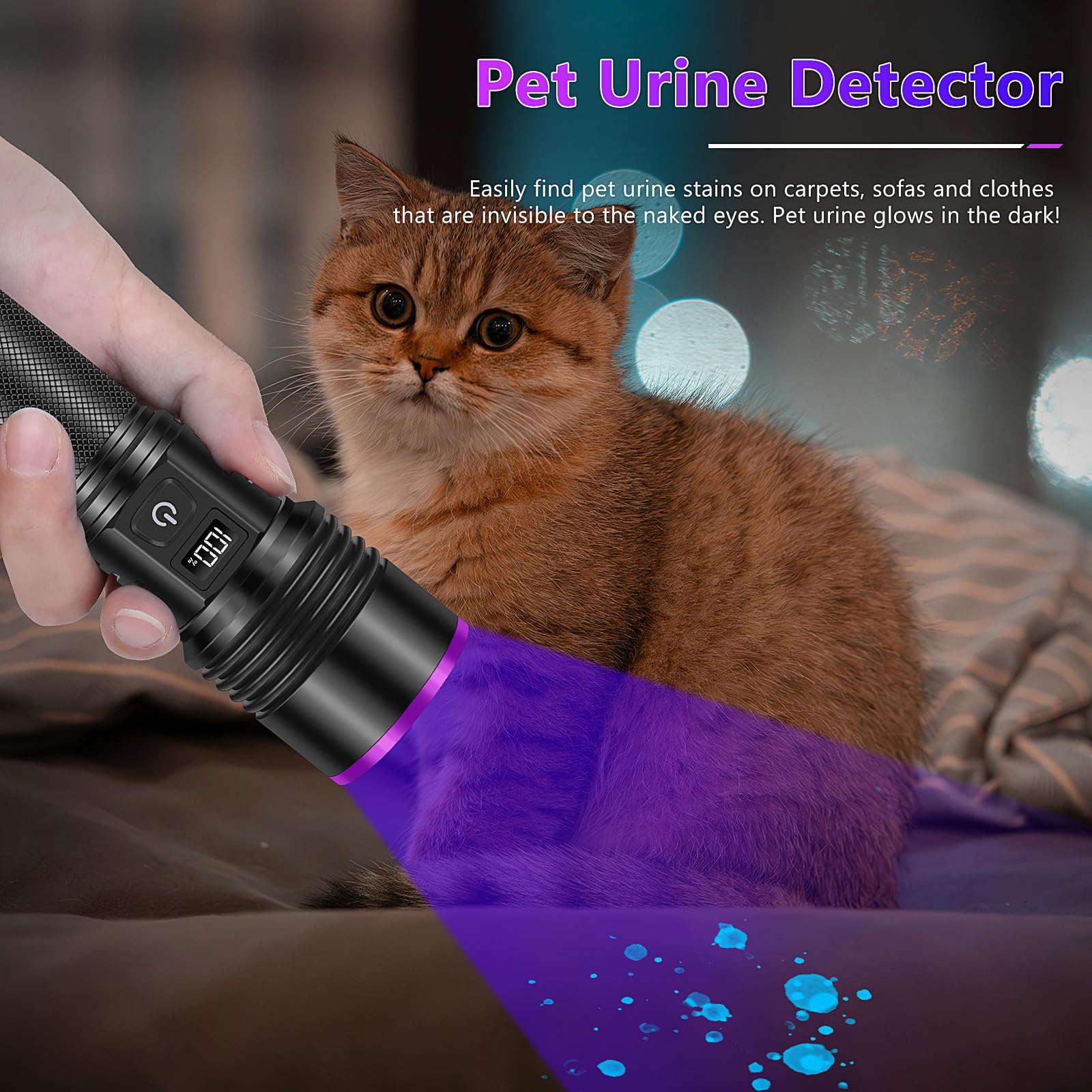 WINDFIRE 365nm UV Flashlight - Rechargeable Blacklight for Pet Urine Detection, Scorpions, Blood Tracking - Black, Model A21, Aluminum