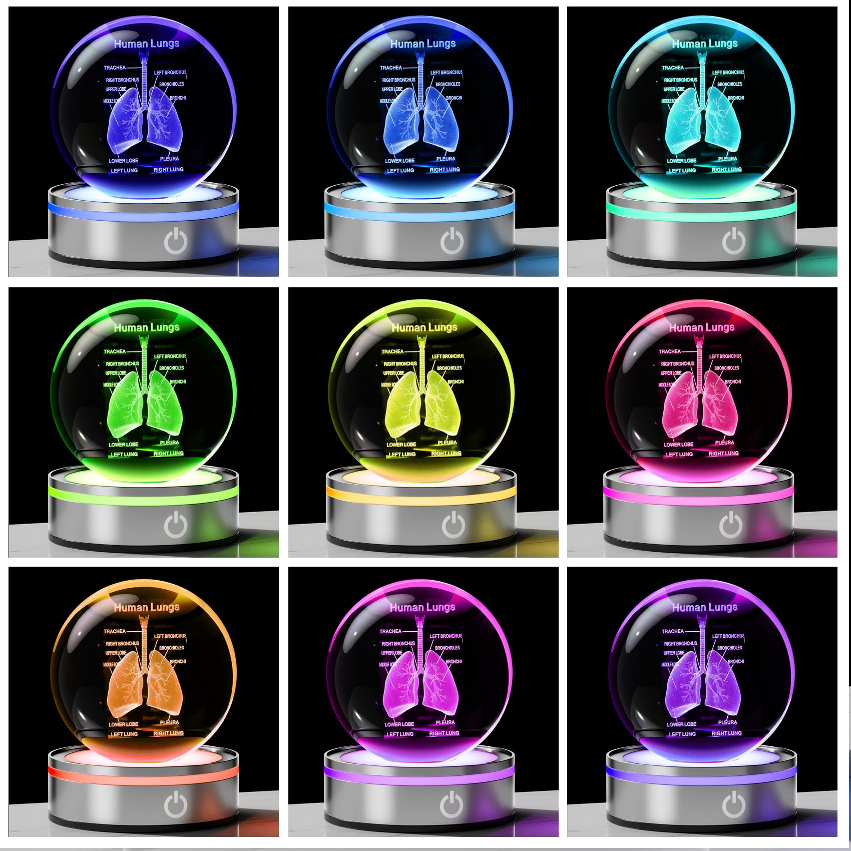 Enjinkail 3D Human Lung Model Crystal Ball Doctor Gifts For Women Men, Laser Etched Glass Anatomical Lung Figurine Science Biolo