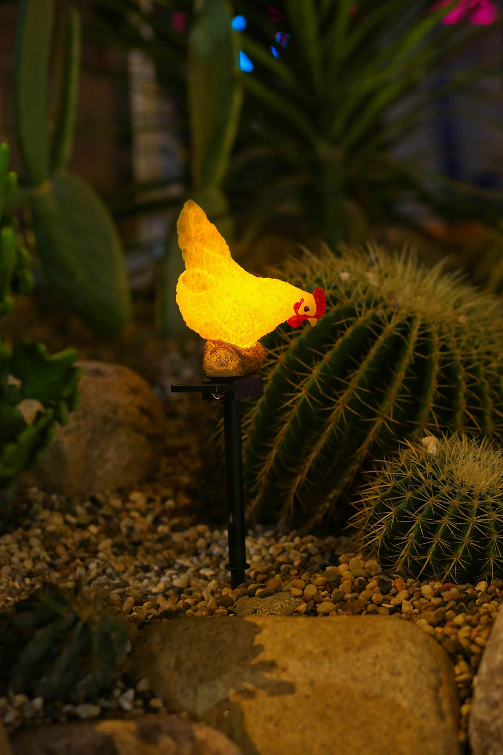 CHUANGFENG Outdoor Chicken Solar Lights, Resin Garden Decor, Cute Chicken Gifts for Patio, Mother's Day, Model CF-JASON-2011112