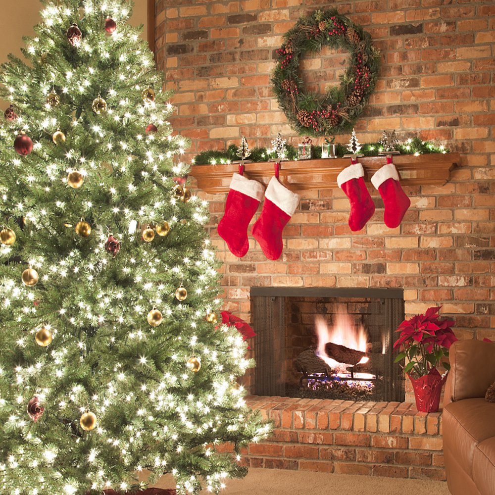 LOENDE Christmas Lights 50-Count LED String Lights, 8 Modes, Battery Operated, Waterproof, Green Wire, White, 1 Pack