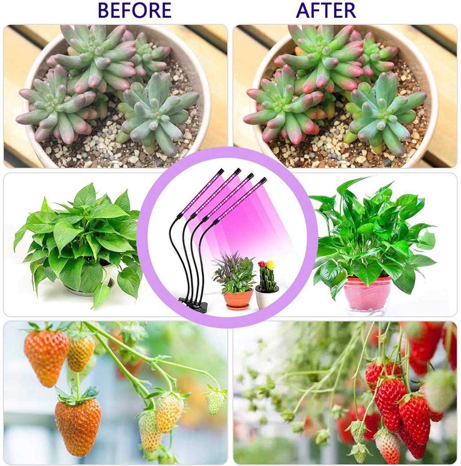 Otryad Led Grow Lights For Indoor Plants, 80W Plant Grow Lights Full Spectrum Auto On & Off With 3/9/12H Timer, 9 Dimmable Lightness Clip-On Desk Grow Lamp Bulbs (4 Heads)