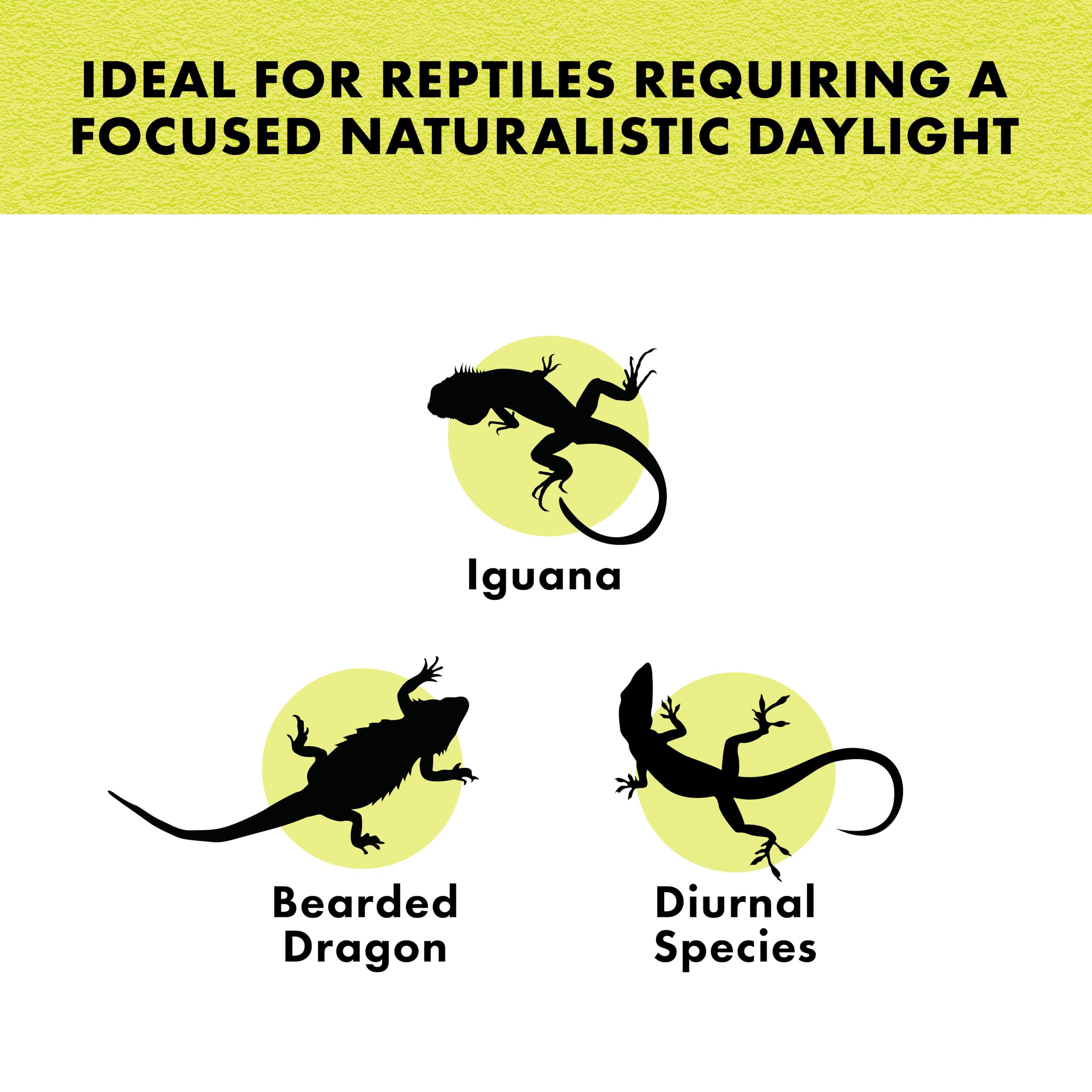 Zilla 50W Incandescent Spot Bulbs, Day White, 1 Count - Perfect For Bright Lighting Solutions