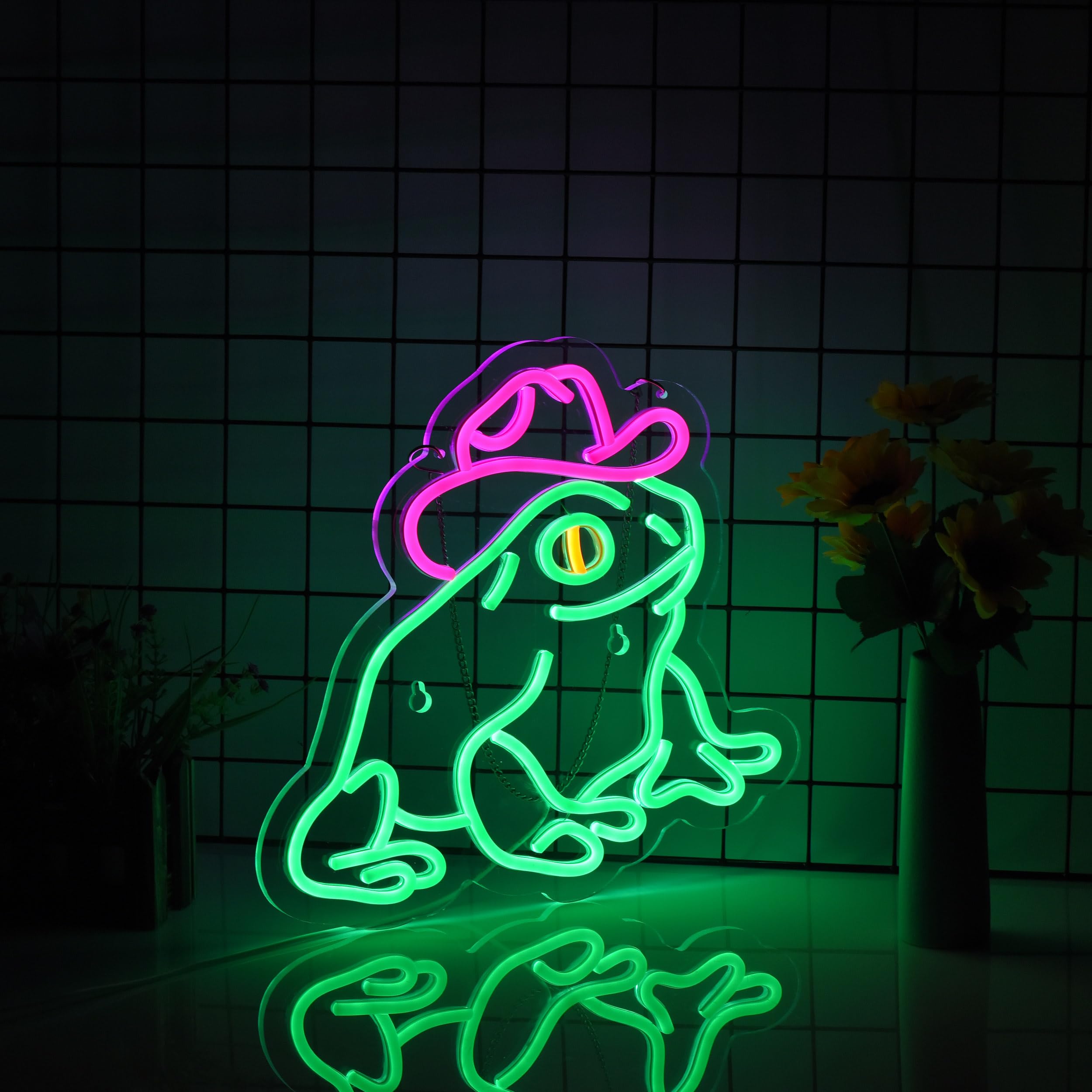 Haimococl Neon Sign Frog LED Light Wall Decor Dimmable USB Powered Green+Pink
