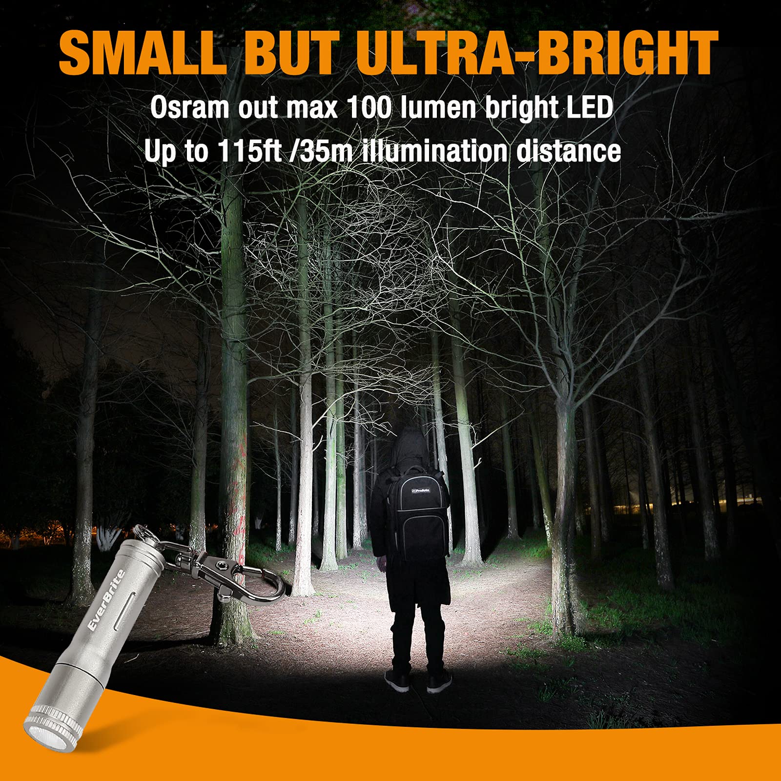 EverBrite Keychain LED Flashlight Mini Torch, Gray, AAA Battery Included, Model E011145AE
