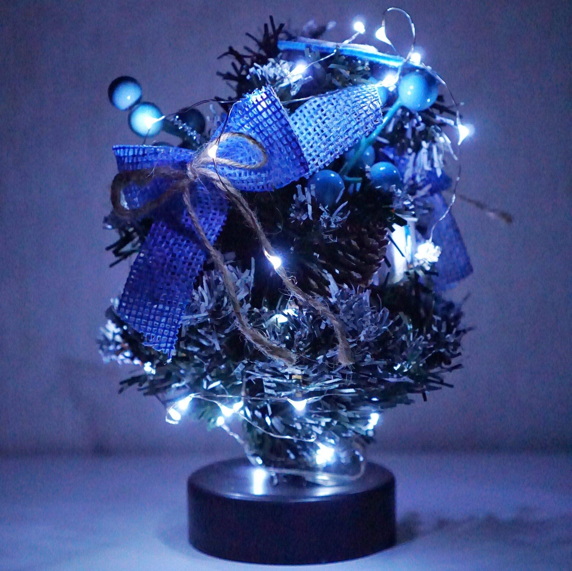 NiniTe LIGHTS 24 Pack Fairy Lights Battery Operated 20 LED Mini String Lights 6.6ft Silver Wire Cool White