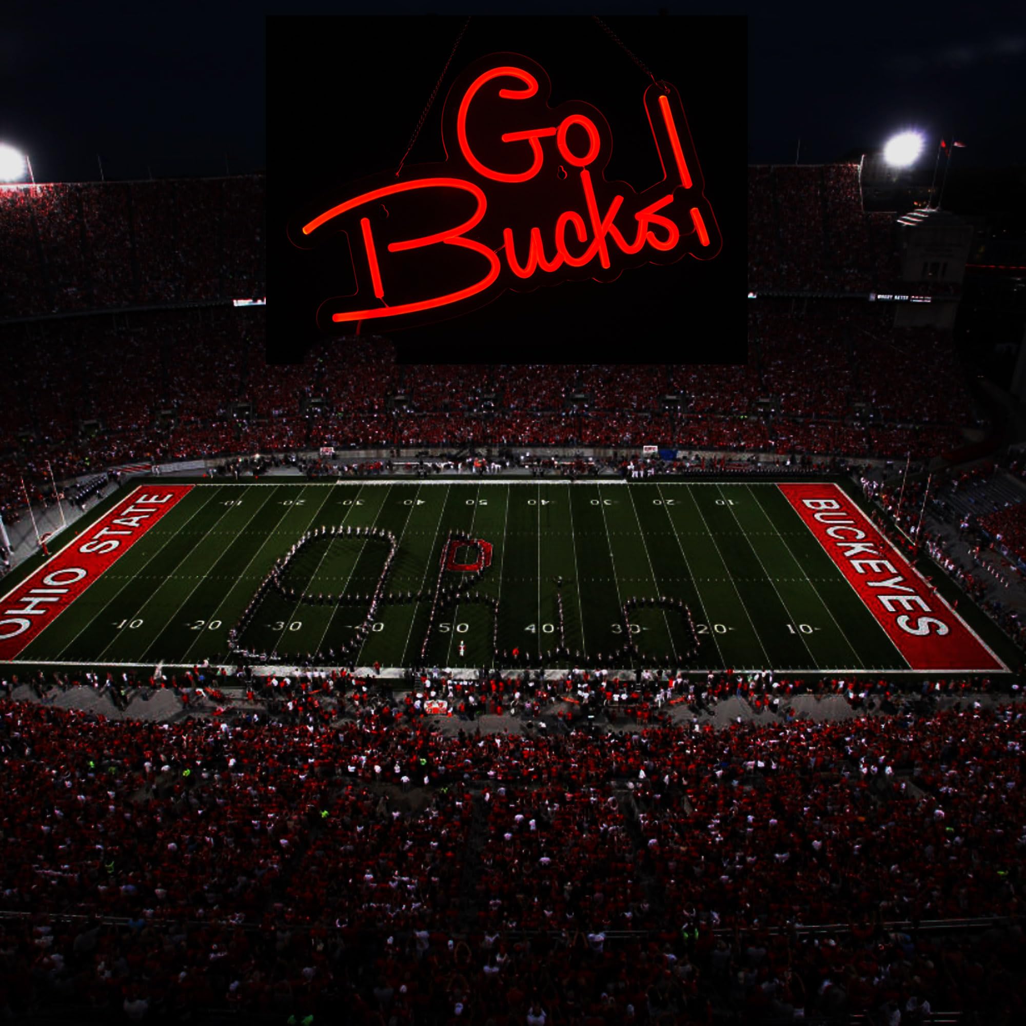 VarLietin Go Bucks Neon Sign LED Wall Decor 9.8x16.5 inches Acrylic Red GoBucks