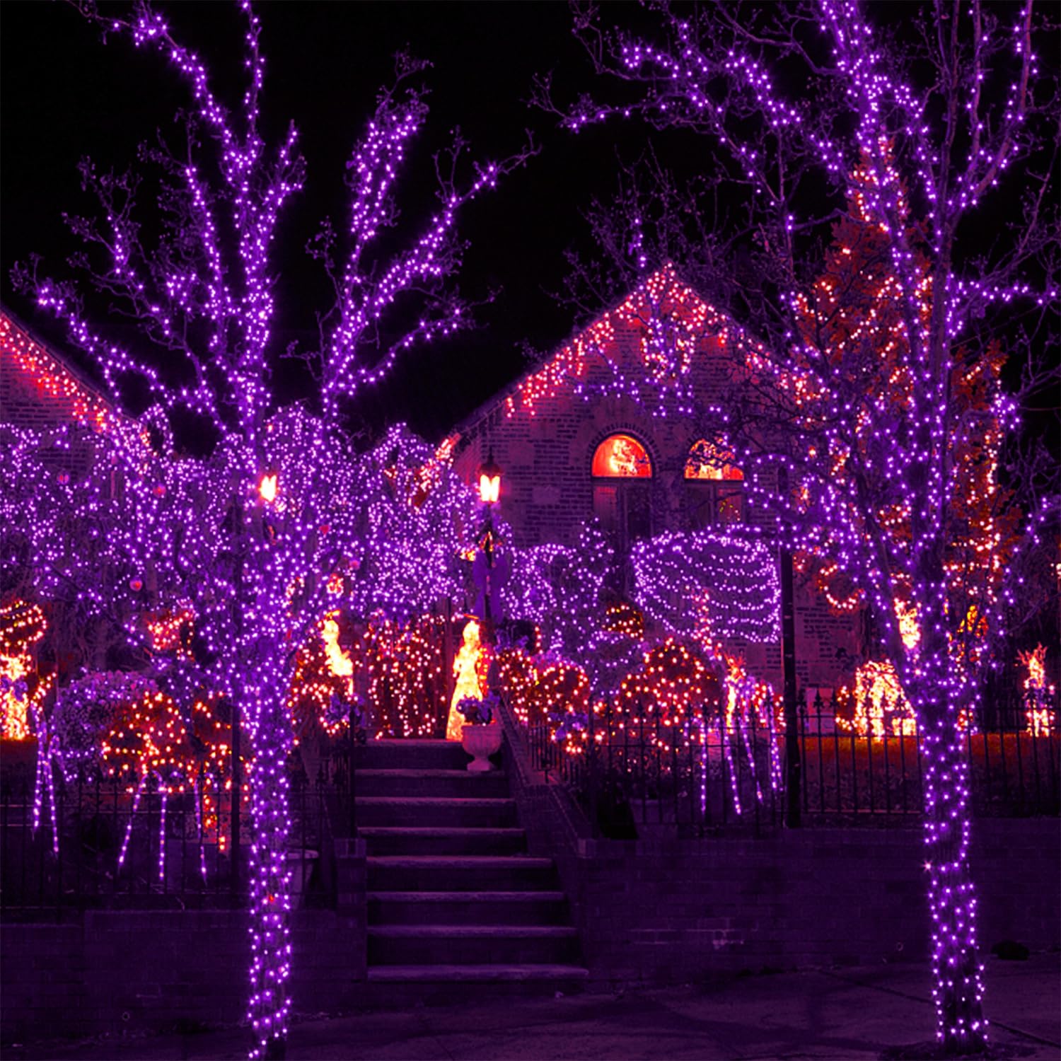WATERGLIDE 1000 LED Halloween String Lights, 328 FT, Green Wire, Waterproof, Remote & 8 Modes, Purple, Model CL-1000C