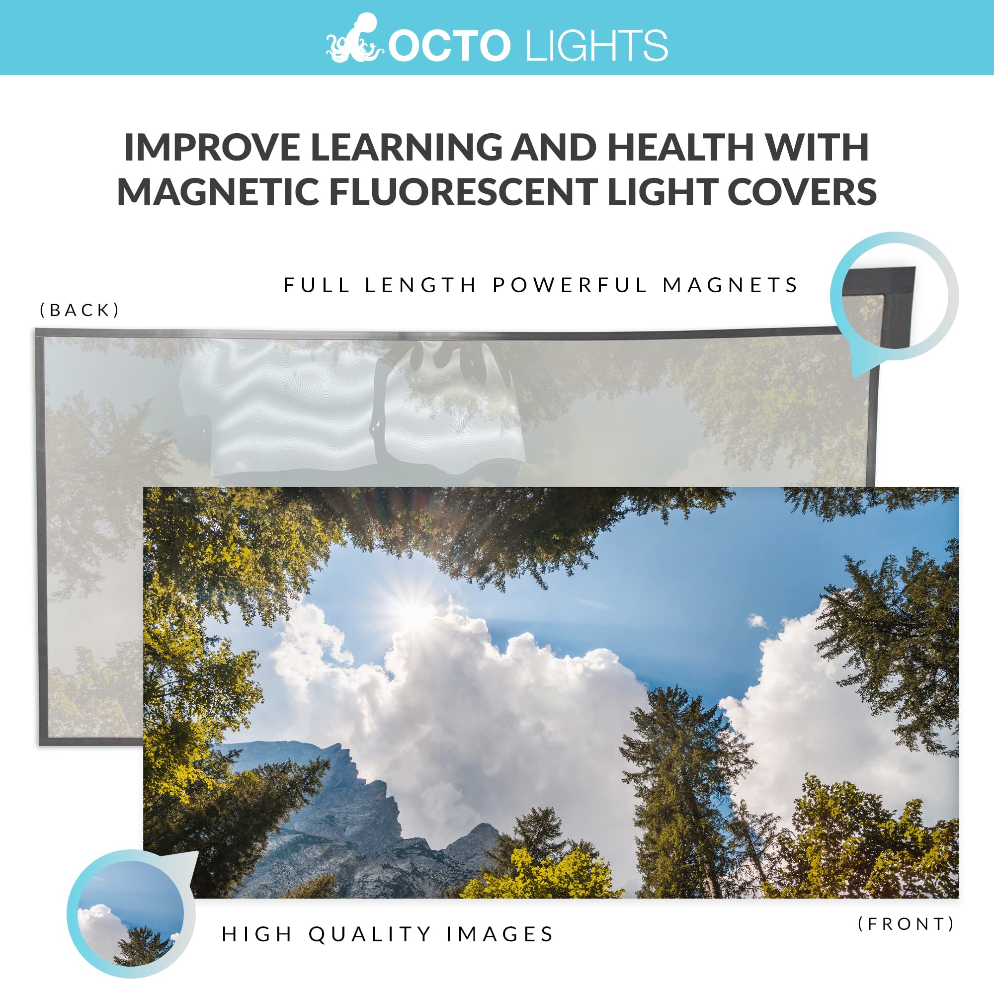 OCTO LIGHTS Magnetic Ceiling Light Cover - 2x4 Backlit Film, Tree Mountain Sky, Model TRE-009-MGT-2x4, Pack of 1