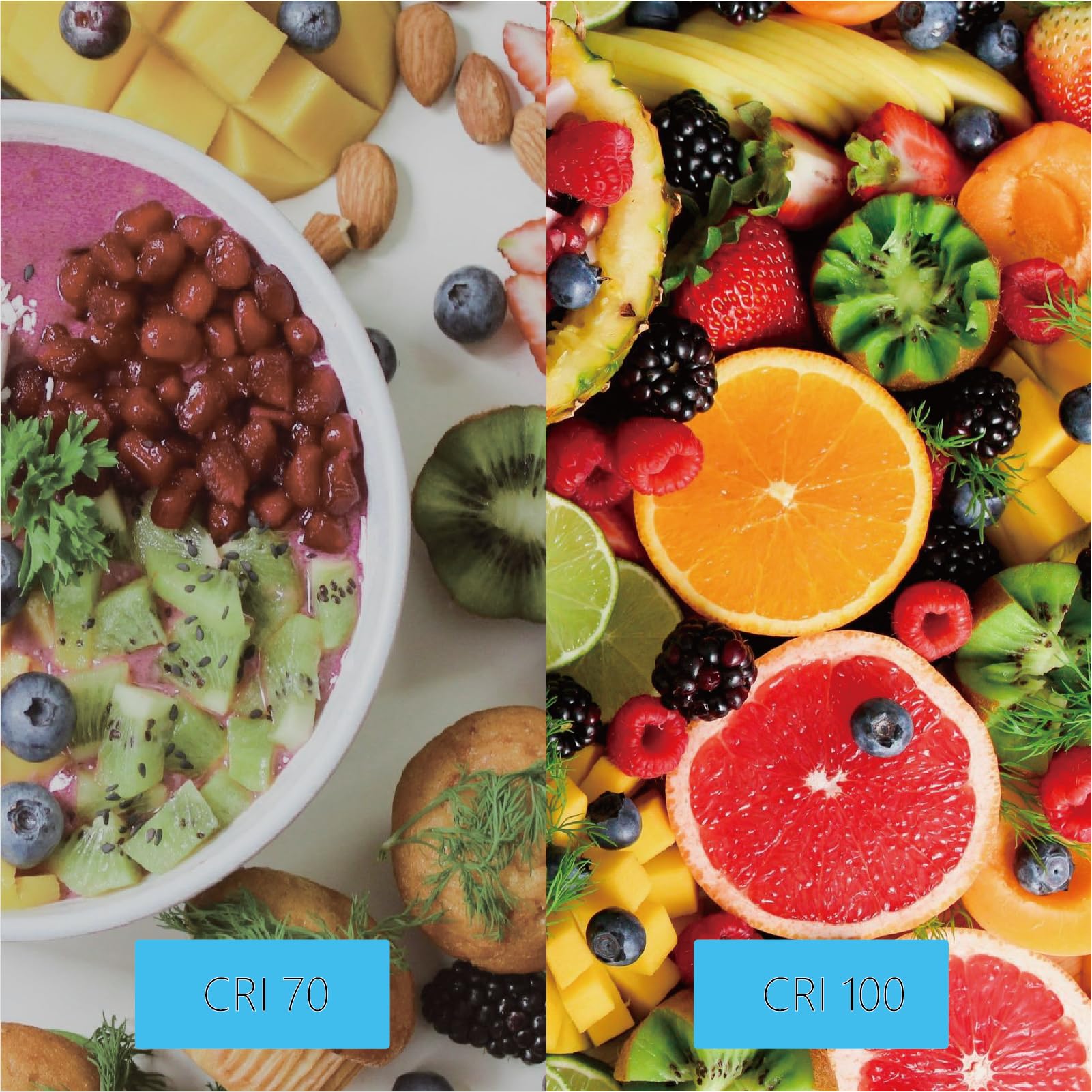 Luxgallerri Par20 Halogen Light Bulbs 3 Pack 120V 39W Dimmable (Par20 50W Equivalent), E26 Medium Base Flood Light Bulbs With 30