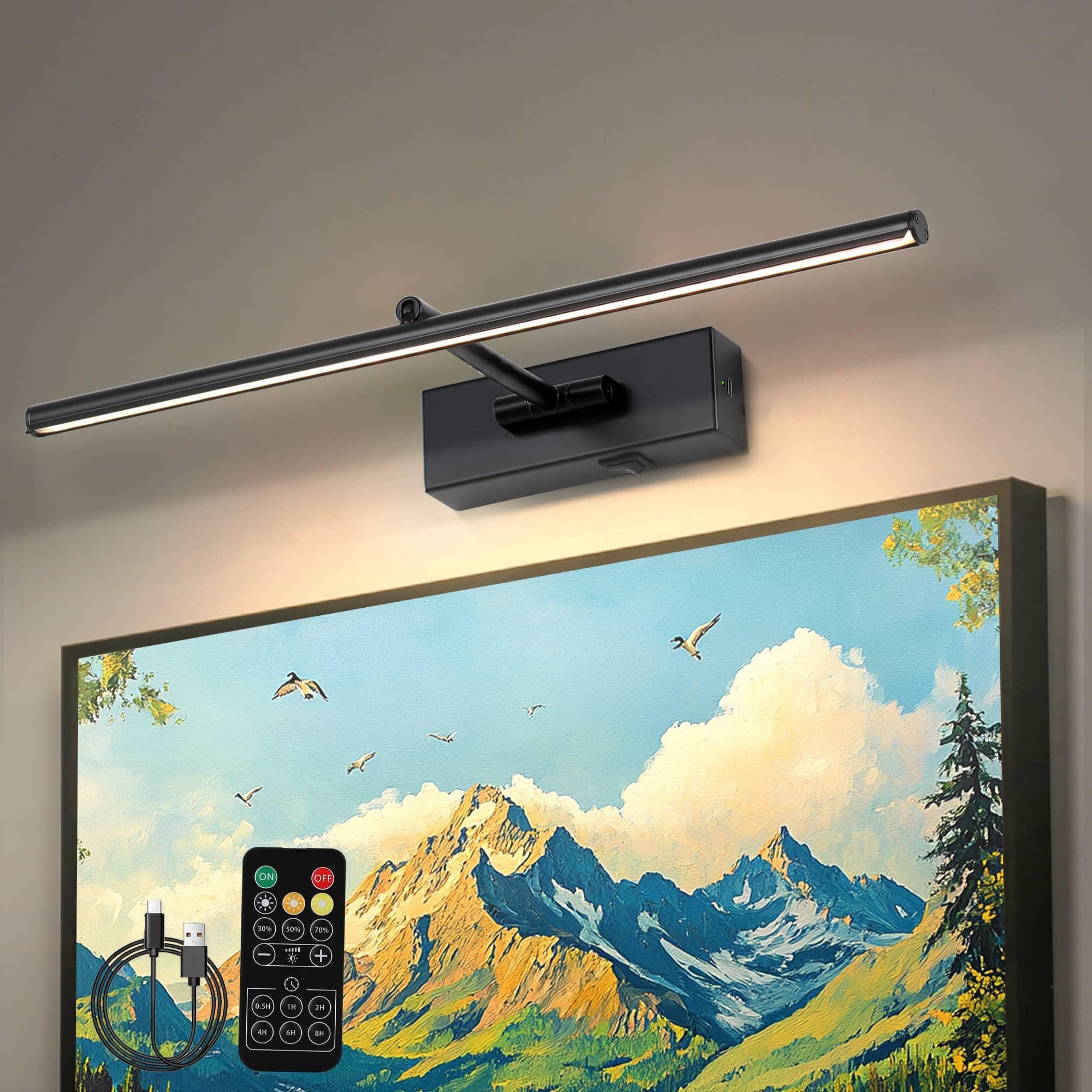 iYoee Battery Operated Picture Light with Wireless Remote 3CCT Dimmable Black Wall Art Lights for Paintings Rechargeable Home De