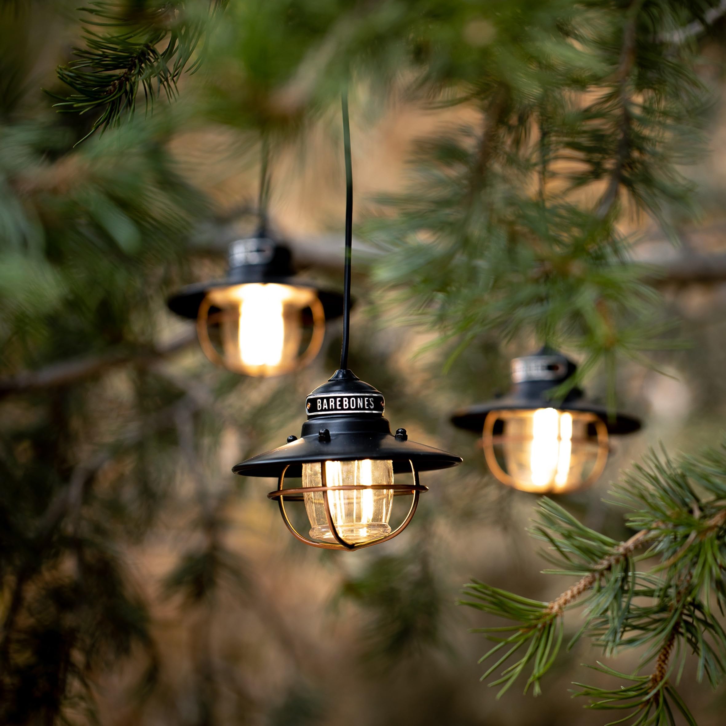Barebones Edison Pendant String Lights - Antique Bronze, 3 Edison-Style Led Bulbs With 10-Foot Cord, Energy-Efficient Outdoor La