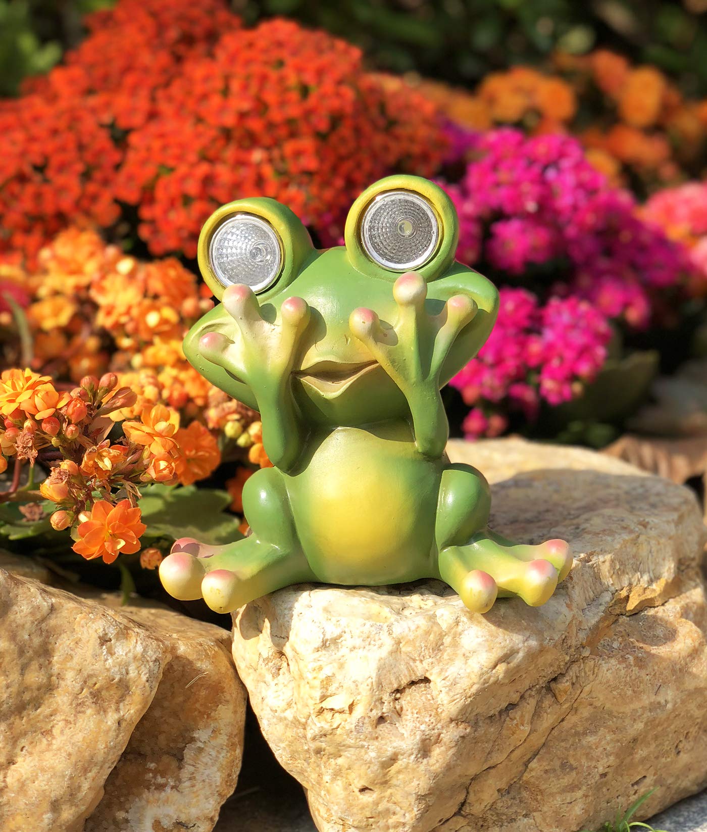 Tiblen Solar Powered Frog Outdoor Led Garden Light Decor (See - No)