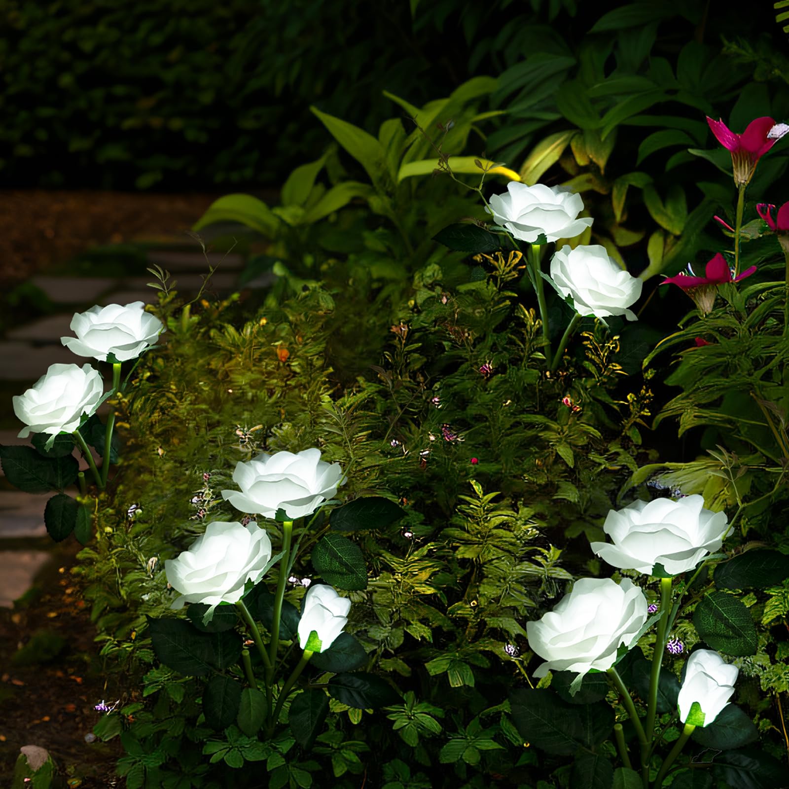 Anordsem Solar Garden Lights, 2 Pack LED White Rose Flowers, Waterproof Outdoor Decor