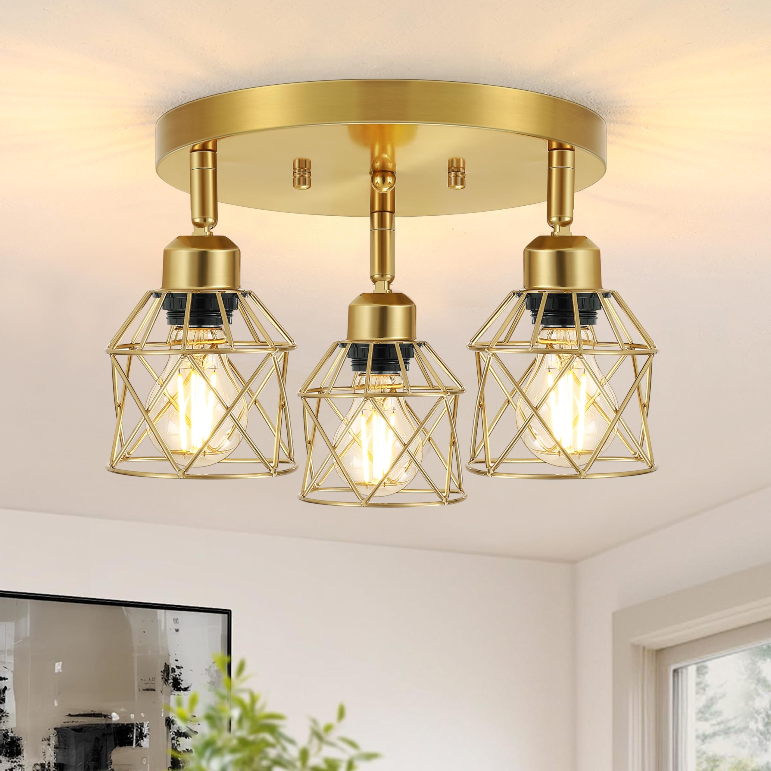 Baocuz 3-Light Brushed Gold Kitchen Light Fixture, Metal Cage Ceiling Light for Farmhouse, Hallway, Dining Room, Entryway