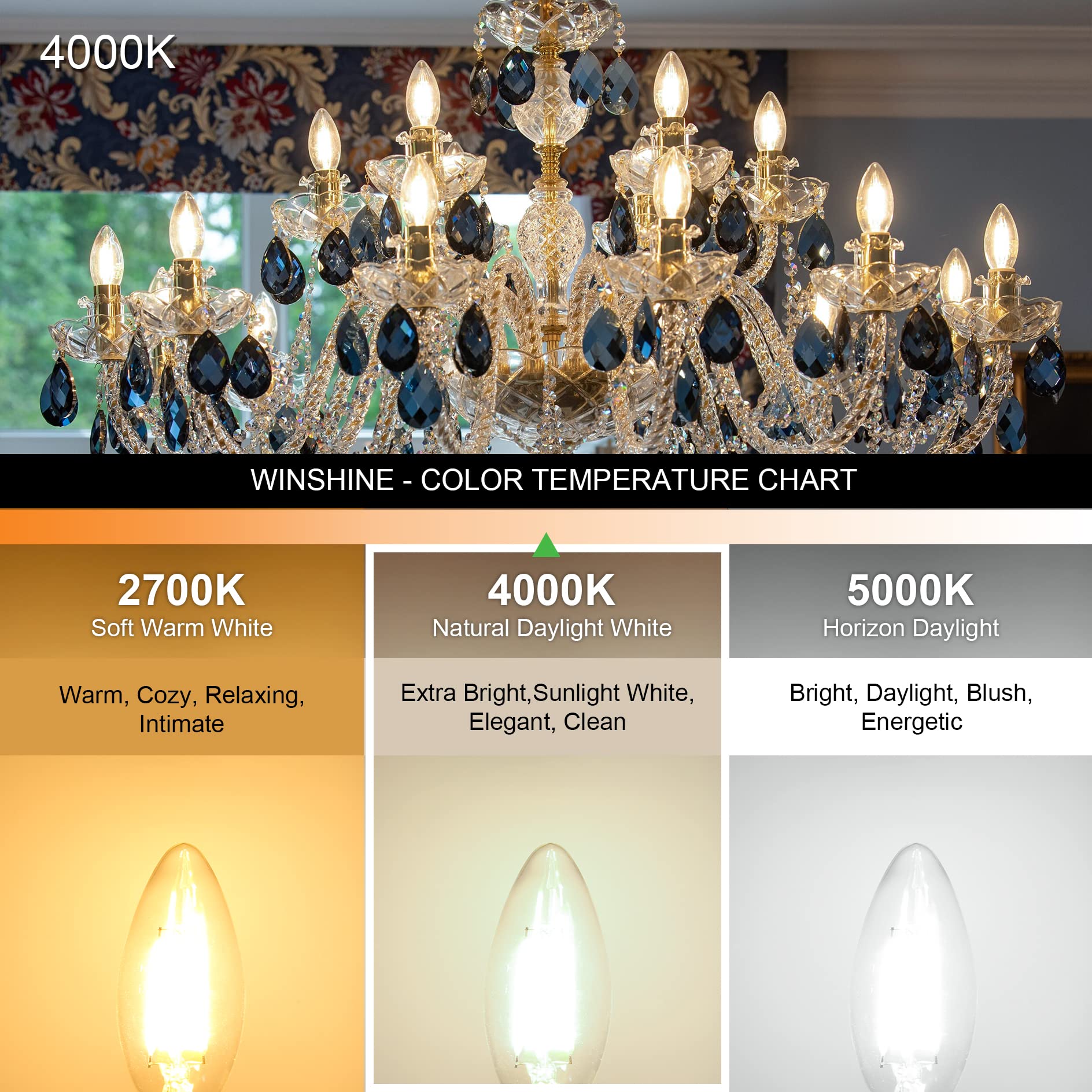 winshine 10 Pack Dimmable E12 Candelabra Light Bulbs, 4W 4000K Natural Daylight, B11, 600LM, Glass, 60W Equivalent