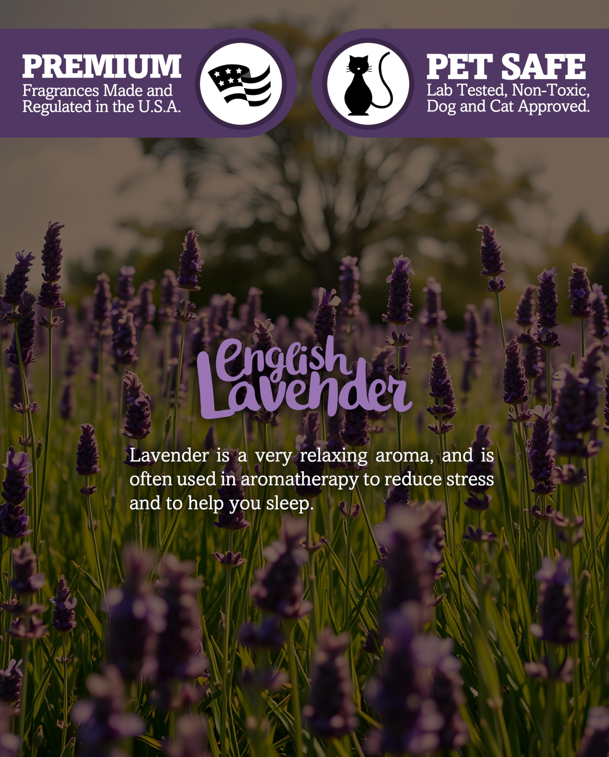 Shortie's Candle Company Pure English Lavender Tealight Candles - 6 Highly Scented Purple Paraffin Wax Lights - Flower & Floral Collection