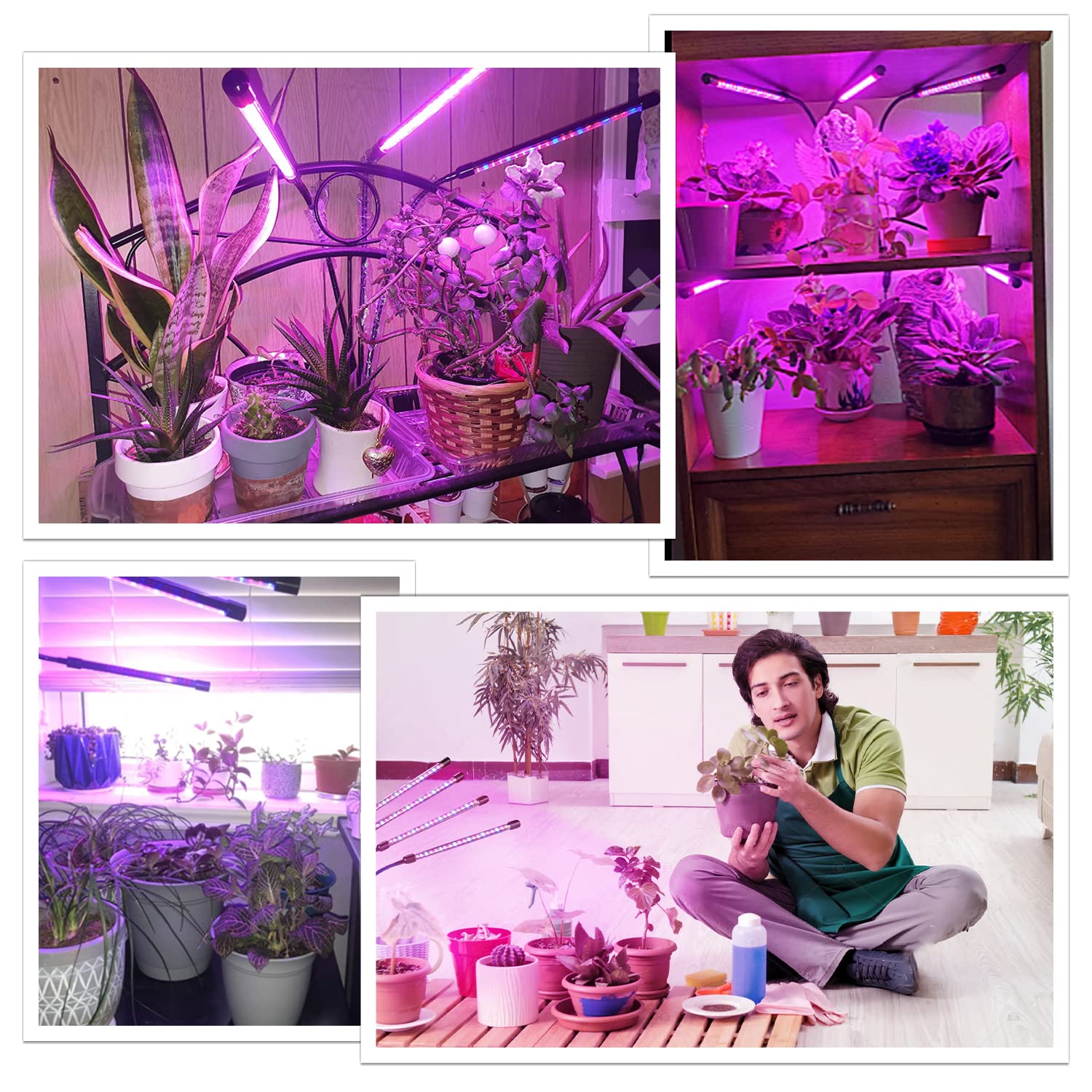 bseah Grow Light for Indoor Plants, 4 Head Clip-On, Full Spectrum, Red+Blue, with 3/9/12H Timer and AC Adapter