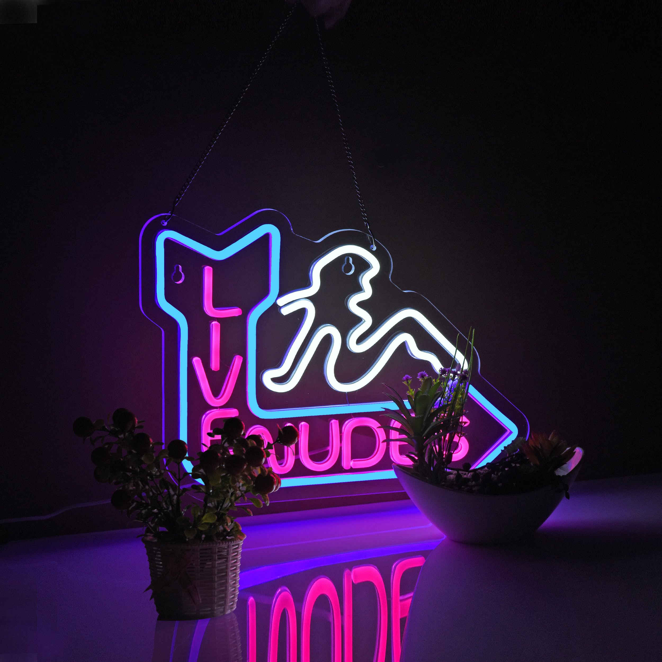 Roouneon Neon Sign for Wall Décor LED Live Batchroom Changing Room Restroom Neon Lights Girls Art Signs with Dimmer for Man Cave Beer Bar Home Bedroom Hotel Pub Room Decor