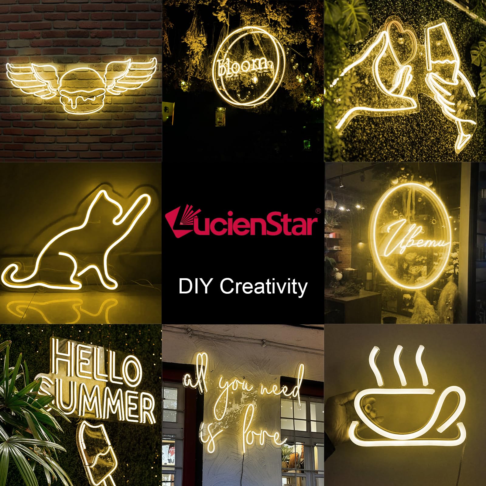 Lucienstar Neon LED Strip Lights, 12V DC, 16.4ft, IP65 Waterproof, Dimmable, Warm White, Model LC-612