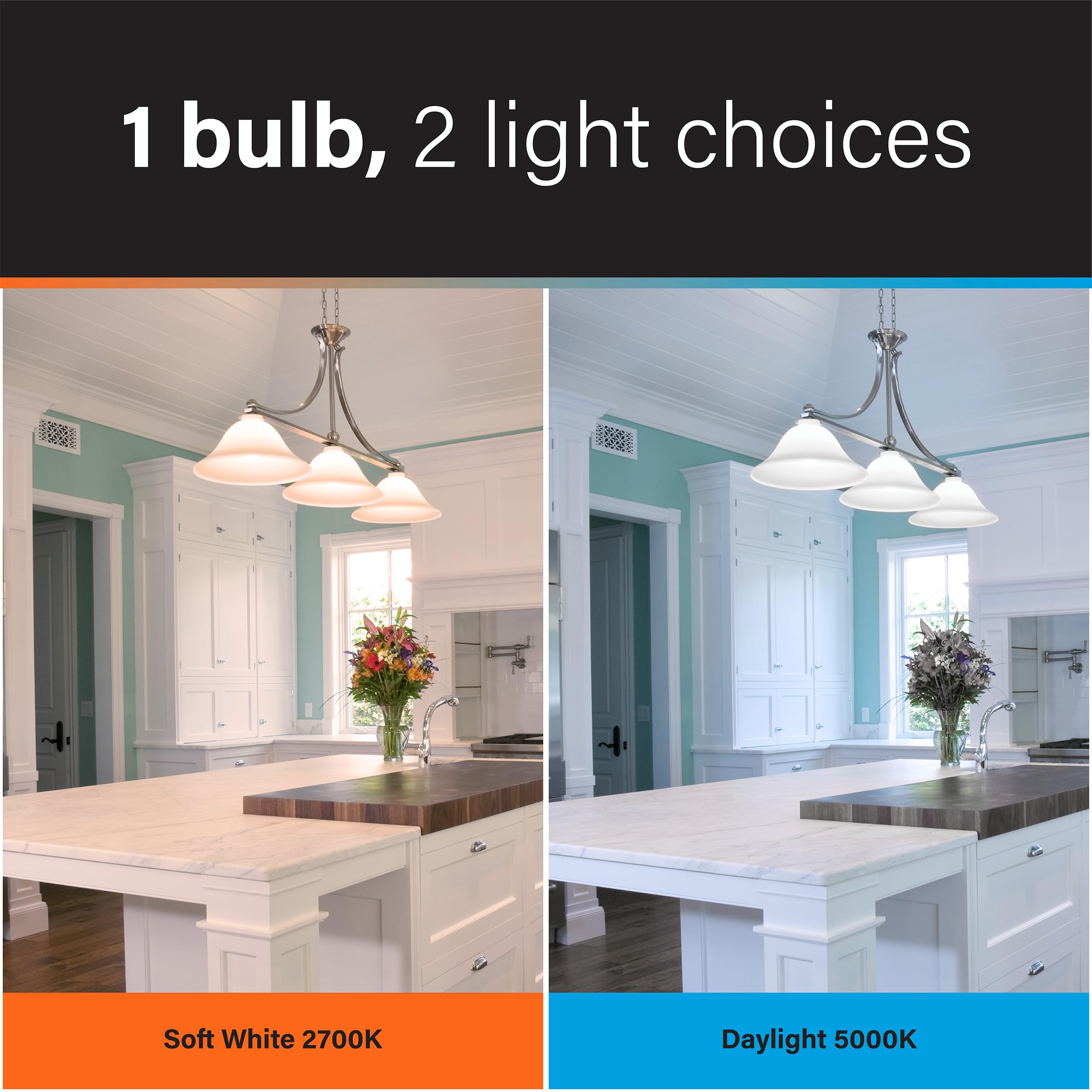 Feit Electric LED Intellibulb A19 Timer Light Bulb - 60W Equivalent, 800 Lumen, 15 Year Life, Soft White & Daylight, Model OM602C