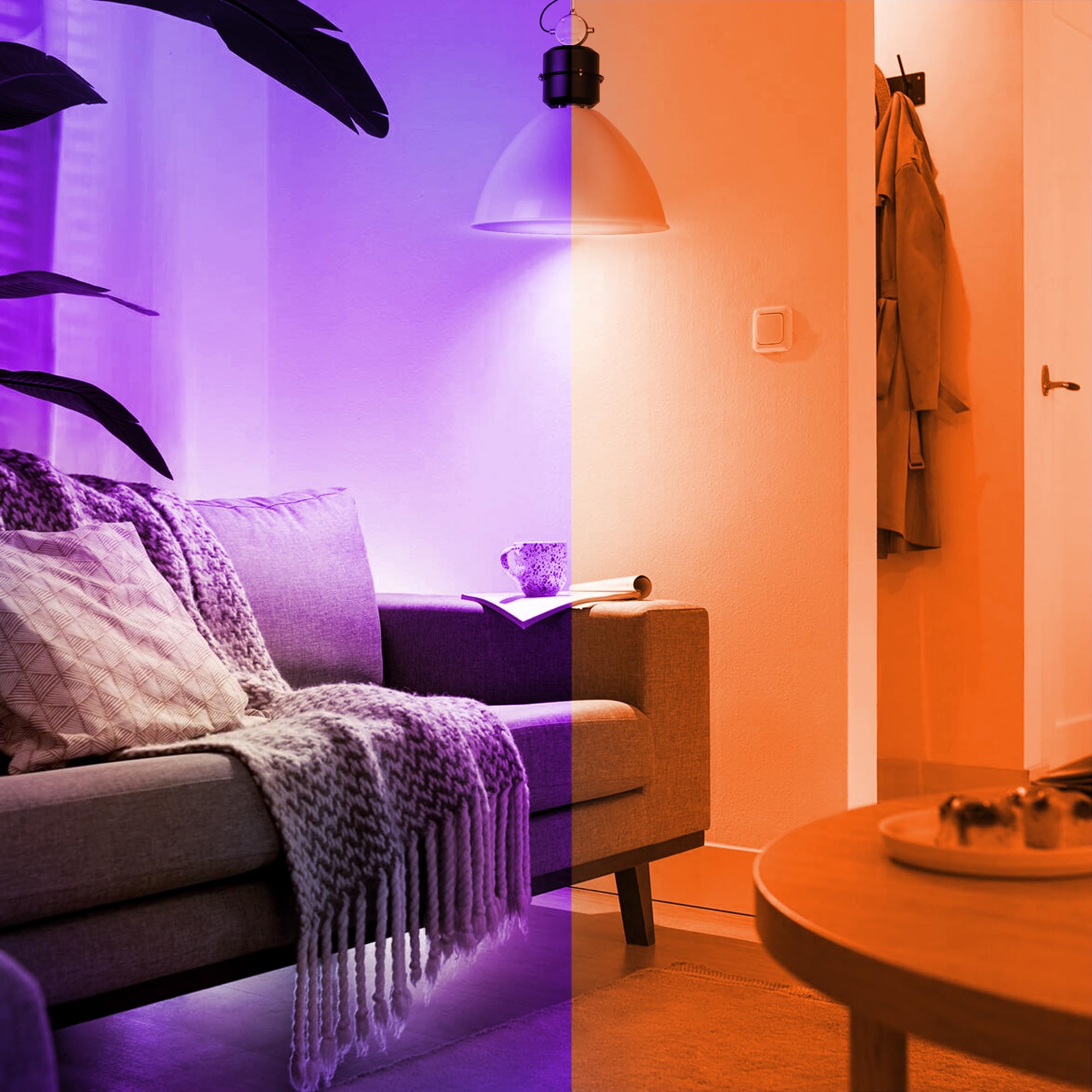 Flaspar 4 Pack Halloween Light Bulb  Led A19 Orange Purple Light Bulbs  Led Orange Light 9W (60W Equivalent) E26 Base Colored Light Bulbs For Halloween Party Decoration  Holiday Lighting Non-Dimmable