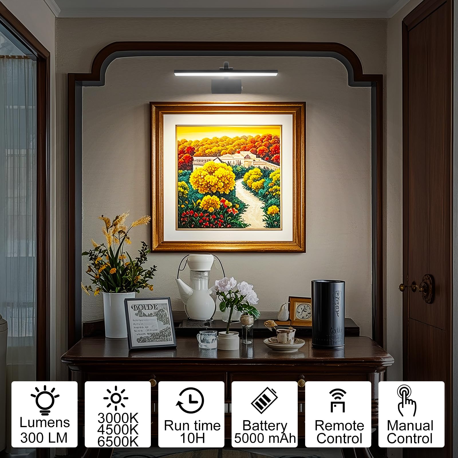 RAIFOOLLY Picture Light for Wall, Battery Operated, Remote Dimmable, 3 Modes, Iron, L-16in, Black, Model RF00181