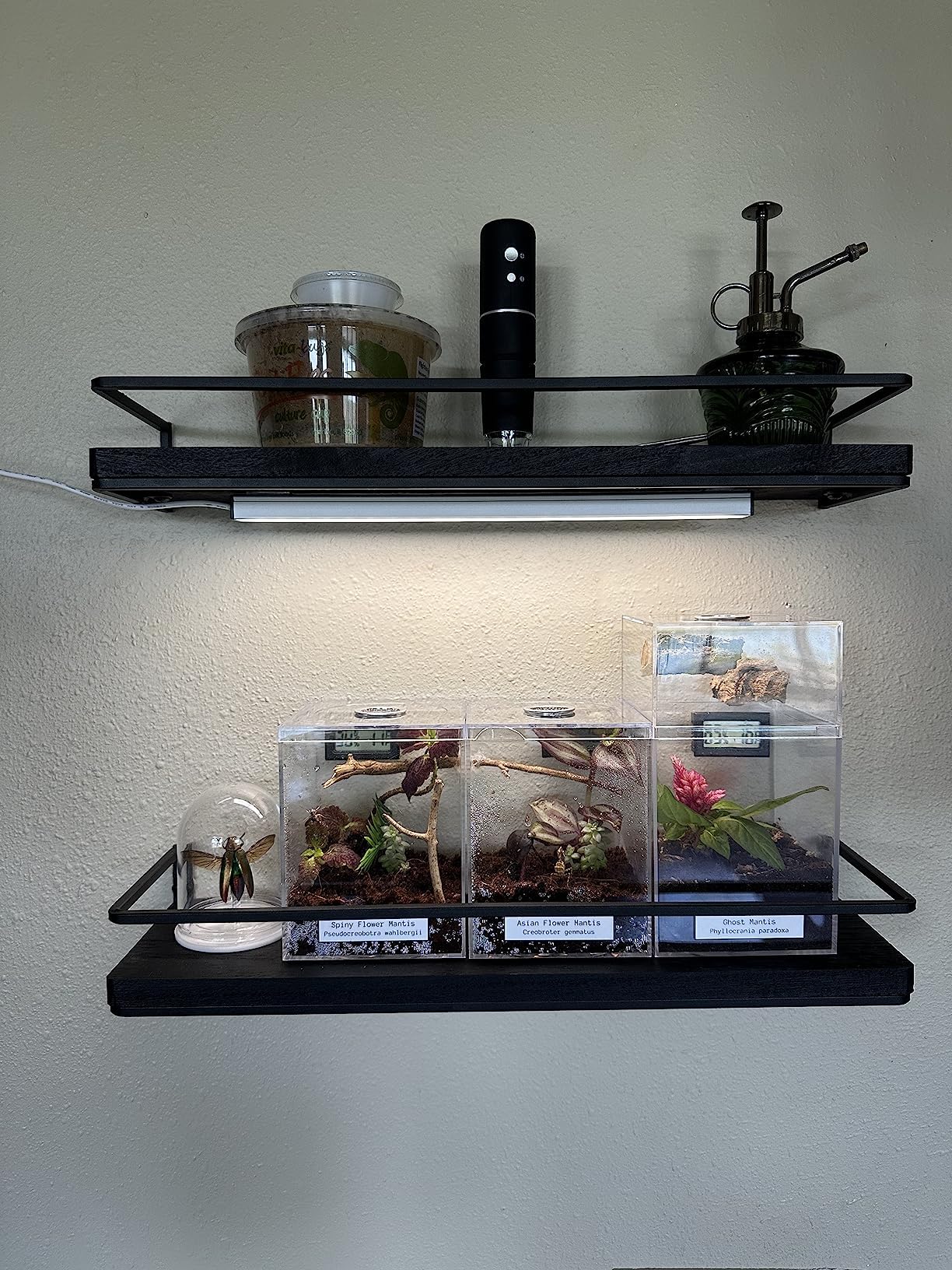 Asoko Under Cabinet Led Lighting, 12 Inch Light Strip Bar, Cool White 6000K Dimmable Plug In Usb Light, Small Thin Led Under Cou