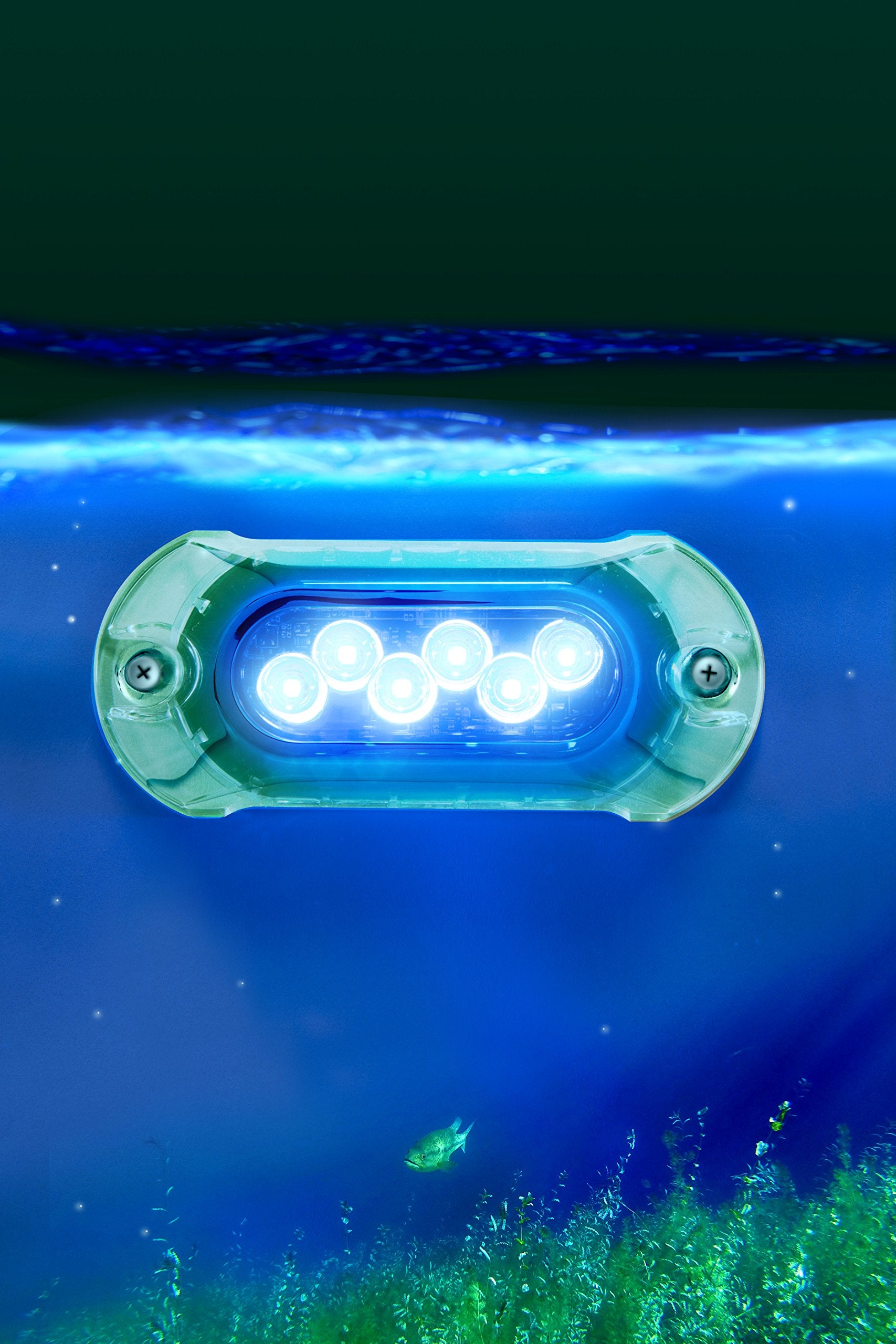 Attwood 65Uw06B-7 Lightarmor Ultra-Bright 6-Led 1,350 Lumen Underwater Light, Sapphire Blue
