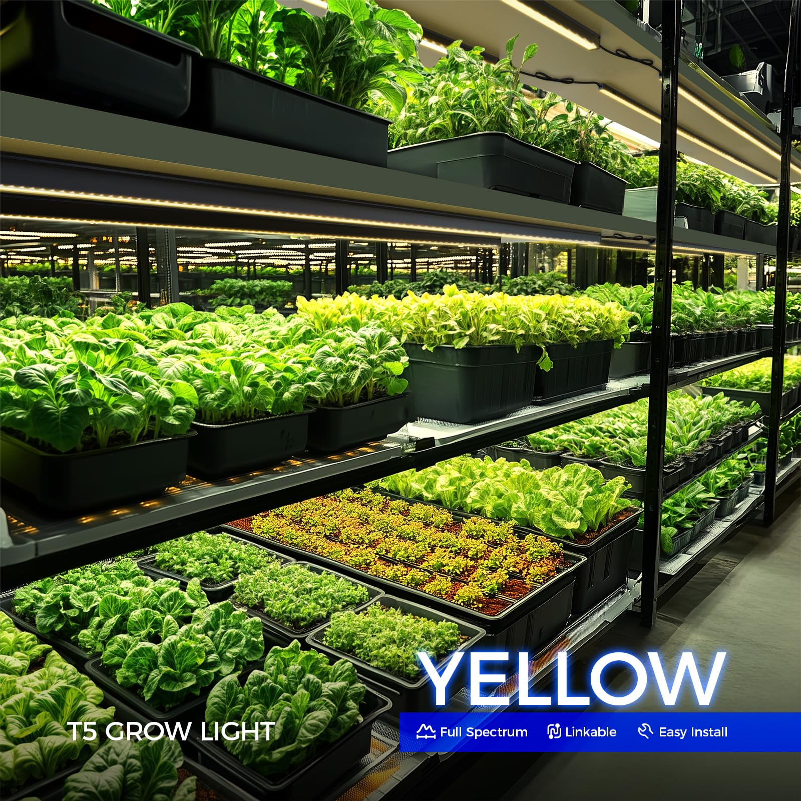 Barrina T5 Grow Lights, 4FT 160W, Linkable Indoor Plant Lamps, Aluminum, Yellow, 8 Packs, Model NL20