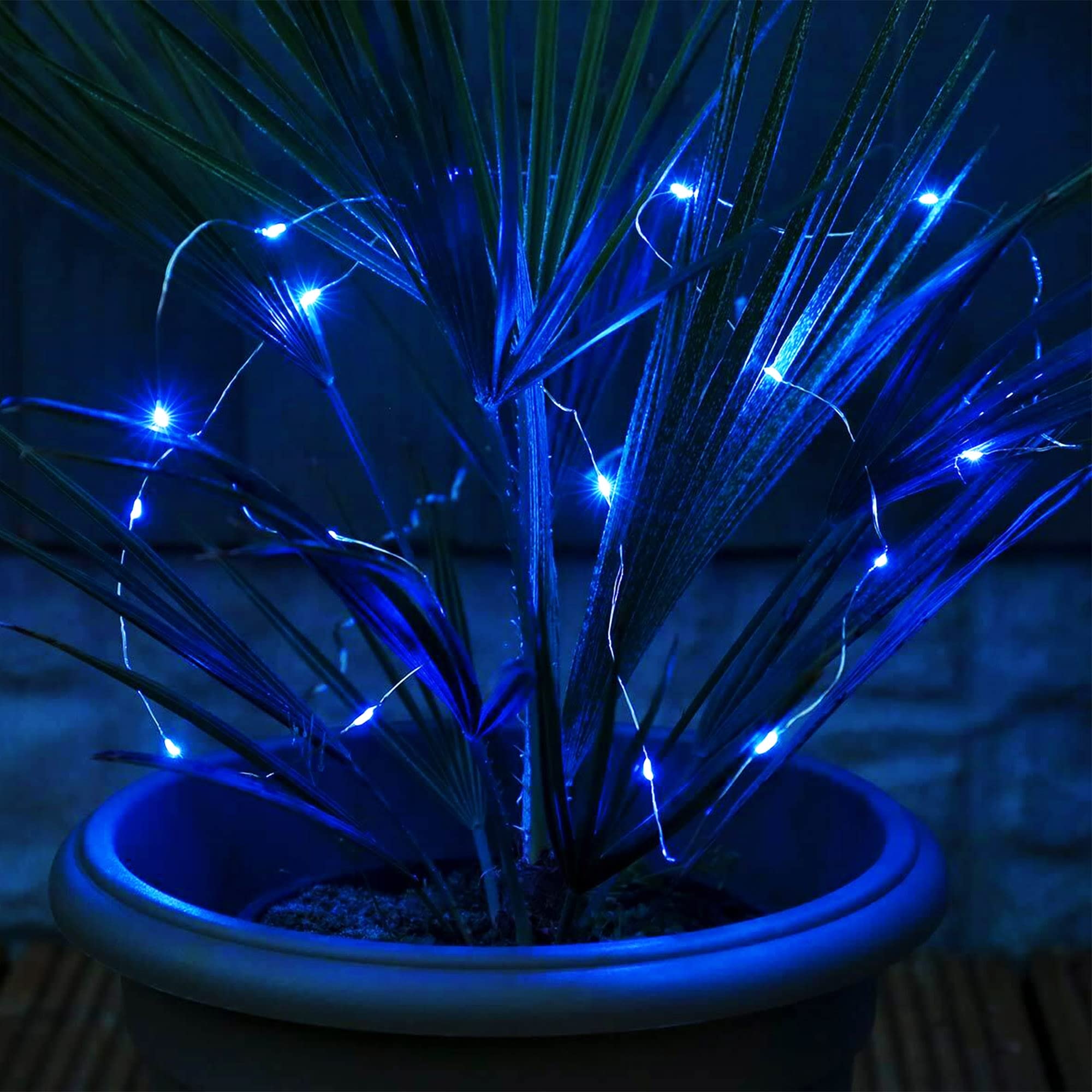 Kemooie 2 Packs Solar String Lights, 100 Led 33Ft 8 Twinkle Modes Blue Solar Powered Fairy Lights, Waterproof For Outdoor, Tree,