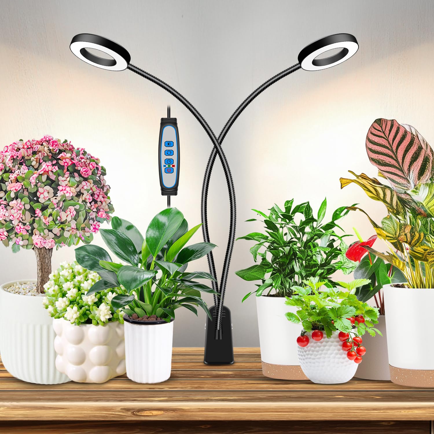 Eurbolan Grow Lights for Indoor Plant  Halo LED Grow Light with Clip  Upgrade 96 LEDs Clip On Plant Lights  Full Spectrum LED Plant Growing Lamp with 3 Modes & 5 Dimmable Levels  Auto Timer 6/12/16H.