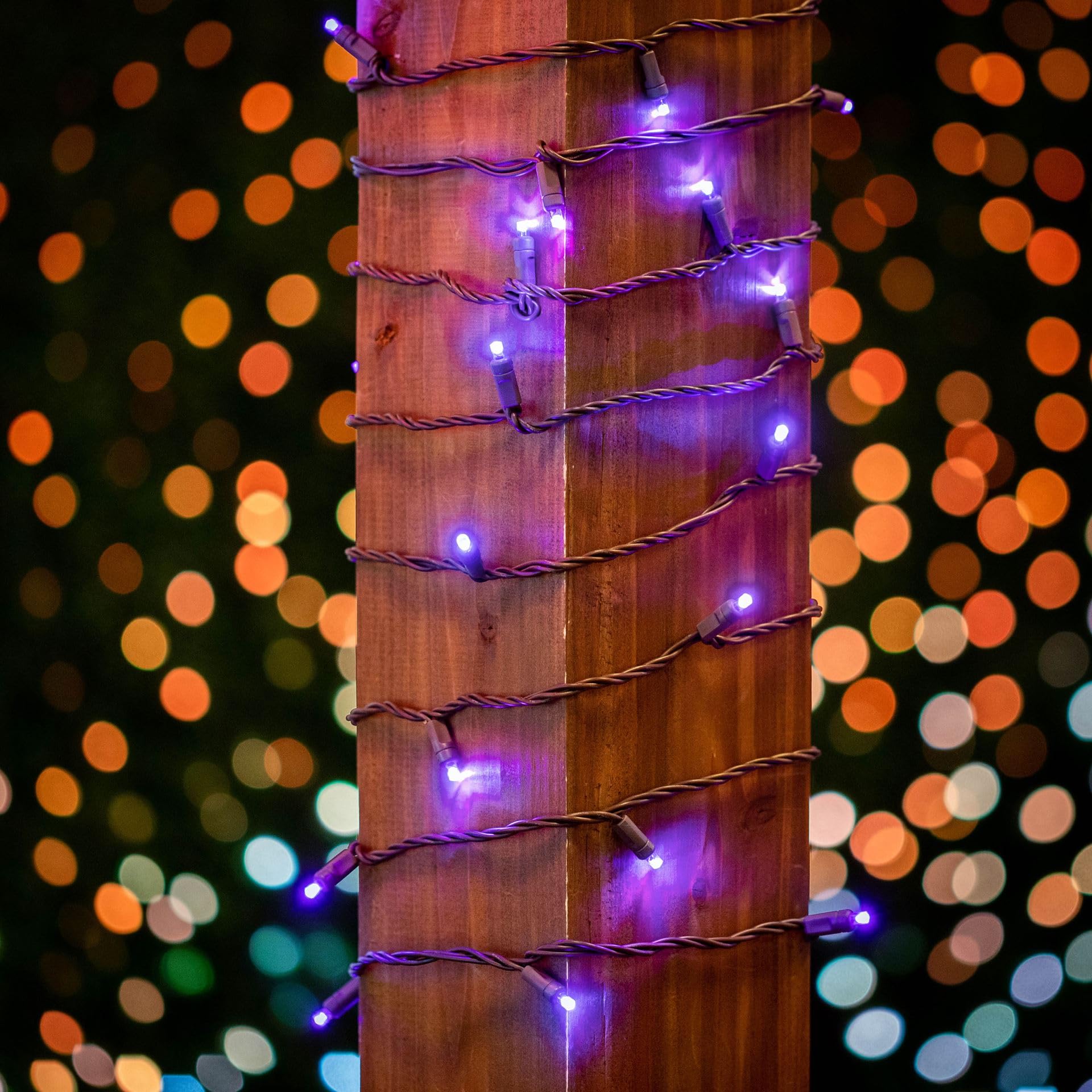 Novelty Lights 25ft Purple LED Christmas String Lights, 50 Lights, Dimmable, Connectable, Brown Wire, UL Listed, IP55