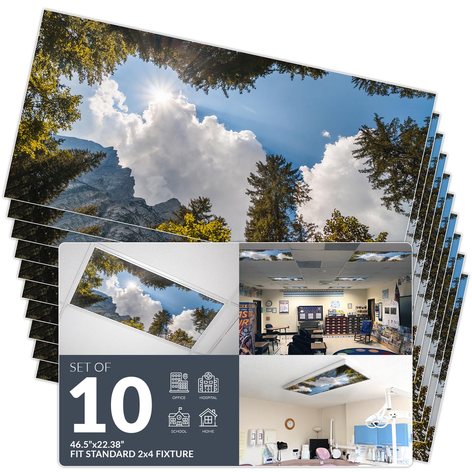 OCTO LIGHTS Fluorescent Light Cover enhanced Backlit Film Insert 2x4in 10pk Tree Mountain Sky
