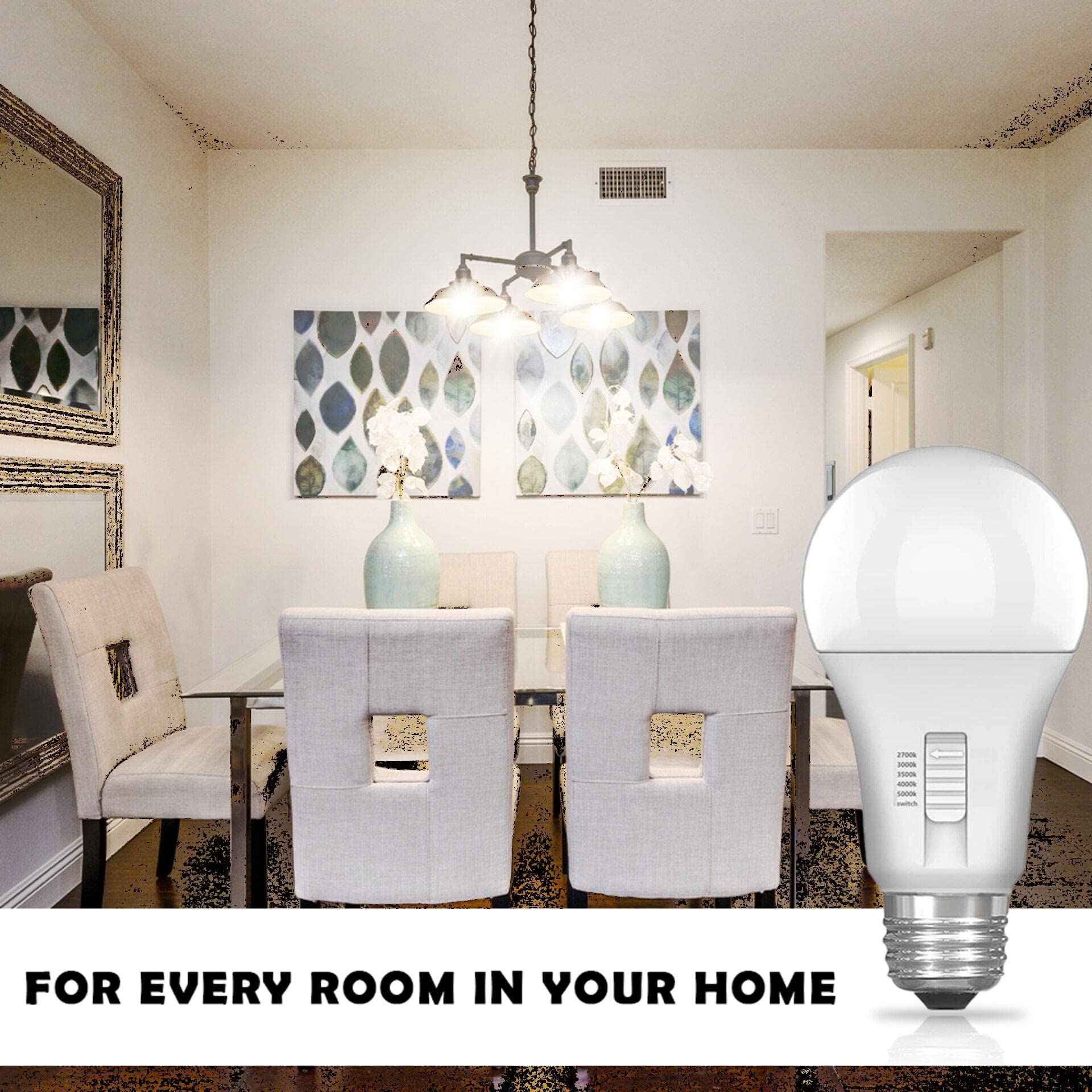LABORATE LIGHTING A19 LED Light Bulbs - Color Selectable, 100W, 1600 Lumens, E26 Base, Soft White to Daylight White, 2-Pack