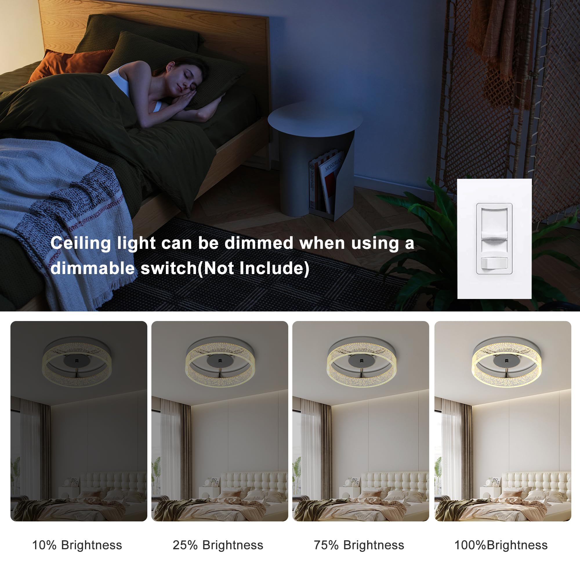 Jaycomey LED Flush Mount Ceiling Light, 11.6in  Round, Dimmable, Acrylic Seed Lampshade, Brushed Nickel, Model MX0790-CH