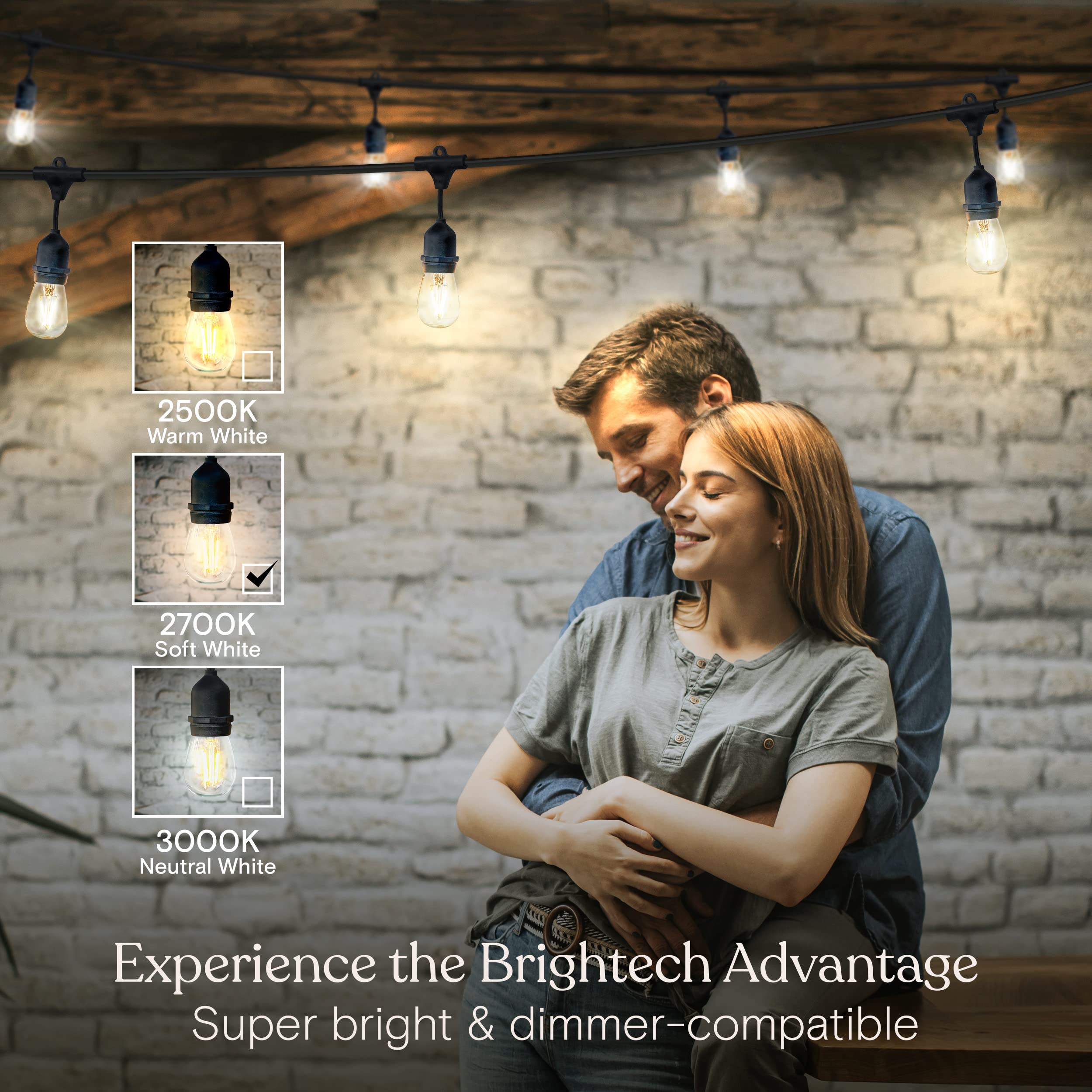 Brightech Ambience Pro Outdoor String Lights - 48 FT, Dimmable Vintage Edison Bulbs, Waterproof, Soft White (2700K)
