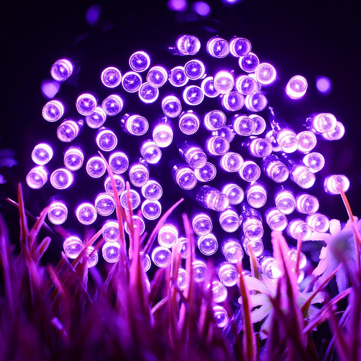 FULLBELL Fairy Lights String Lights 33ft 100 LED, Memory Modes, Transparent Wire, Purple, Model FLEDTKSL10MWW-PU