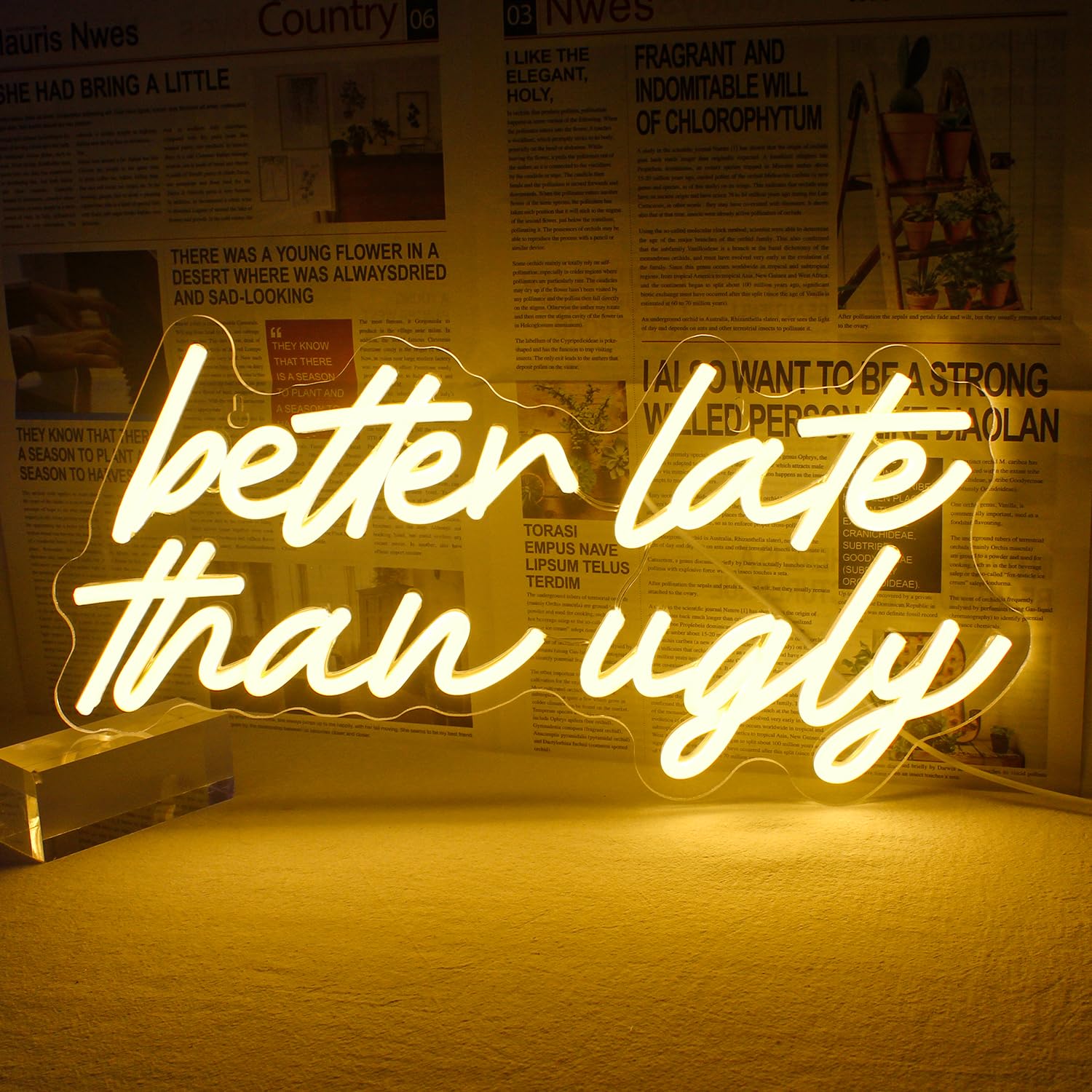 Horseneon Neon LED Sign - Better Late Than Ugly Wall Decor, Warm White Acrylic Light for Bedroom, Living Room, USB Powered
