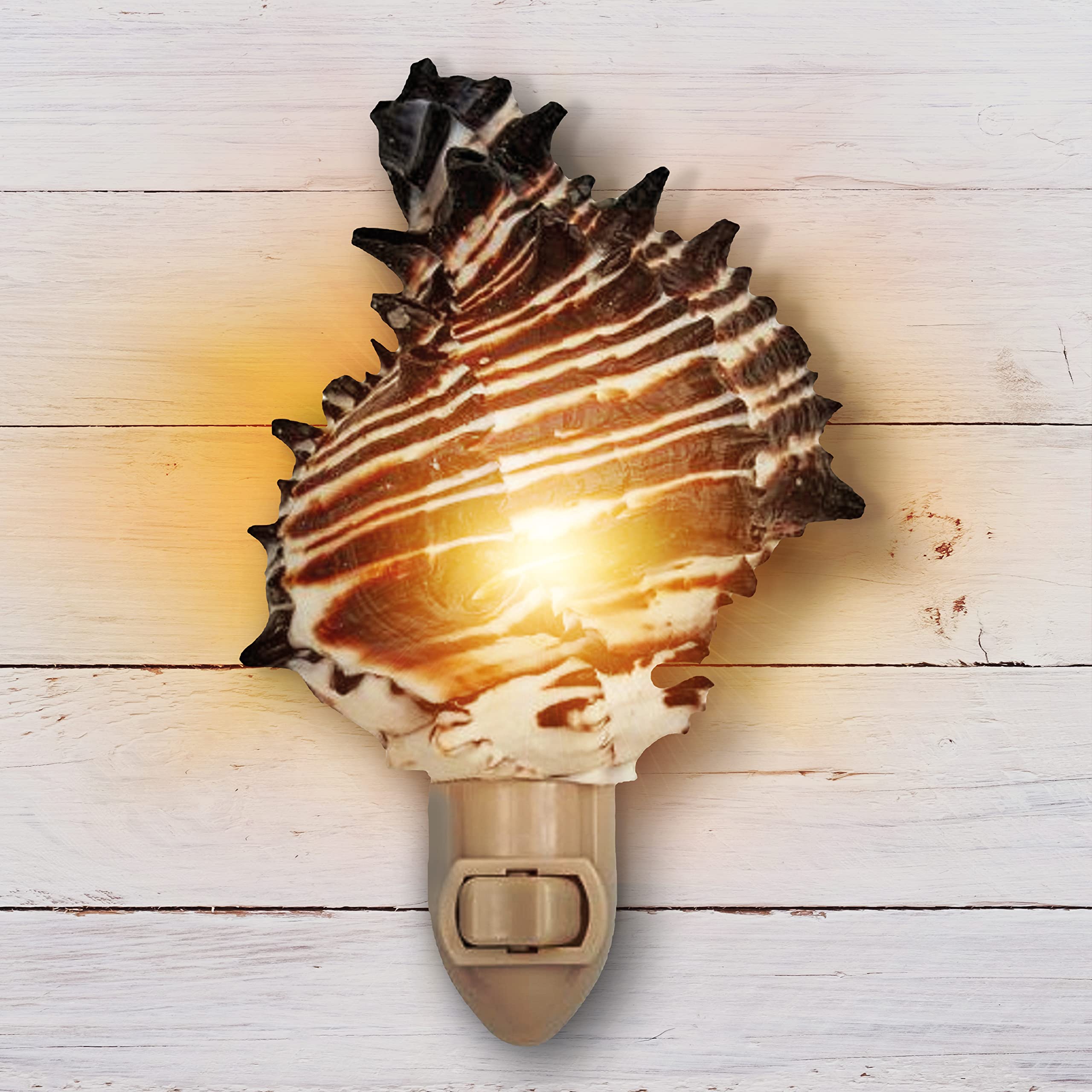Tumbler Home Seashell Night Light, Murex Black, Coastal Décor, Model DCR-NTL-MUREX-BLK