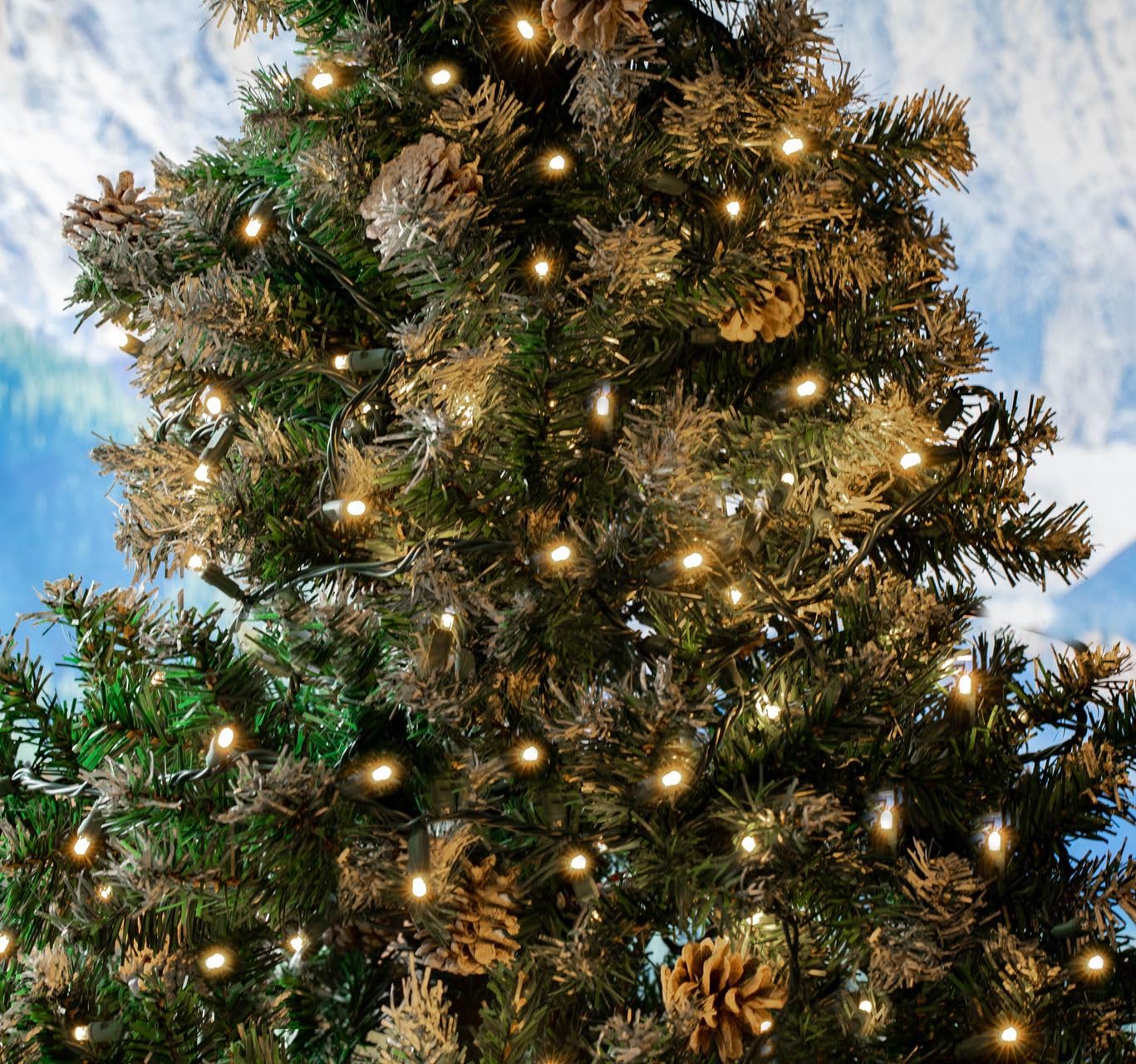 Novelty Lights 50 Light LED Mini Light Set, Warm White, Green Wire, 11 Feet, Model MRD-25B-2, Outdoor Party Patio String Lights